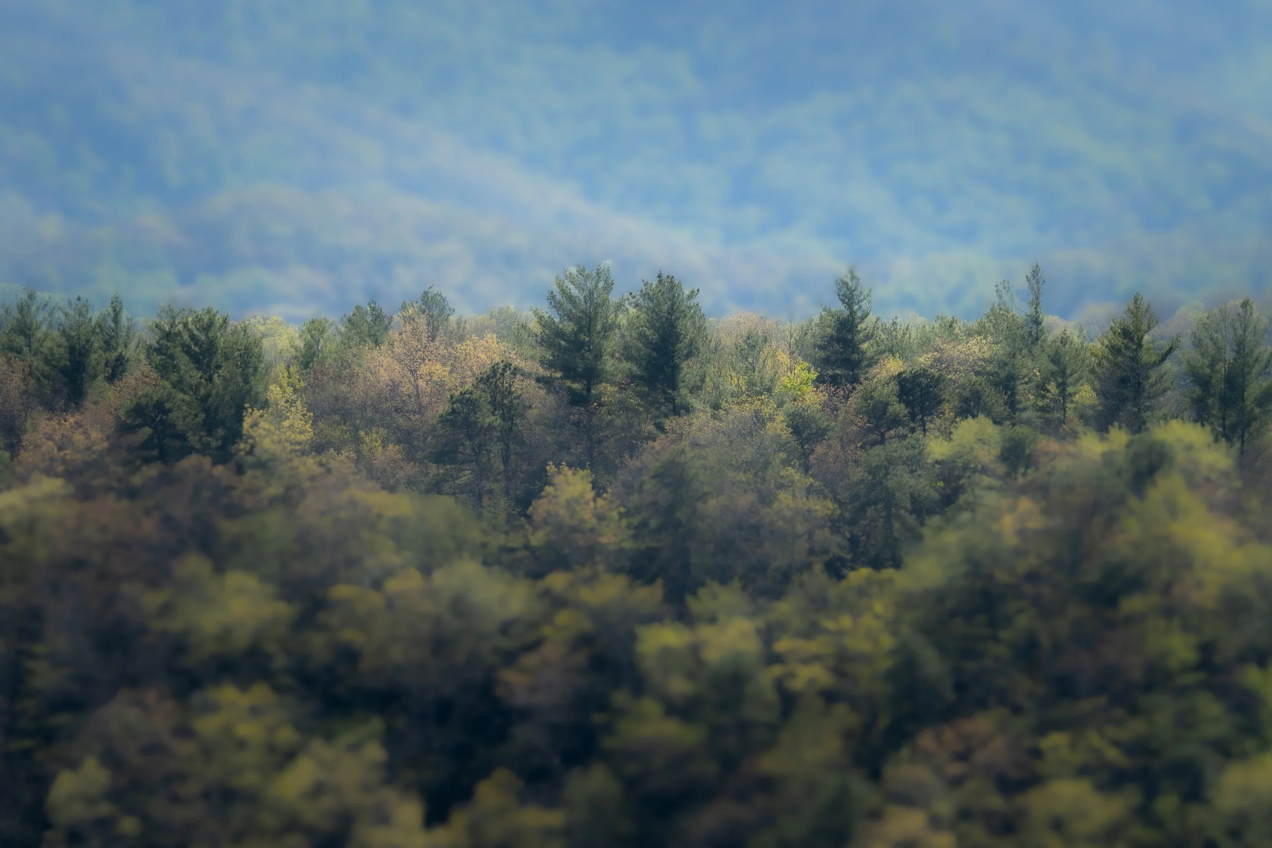 Ridgeline | Blue ridge Parkway, NC | 2026
