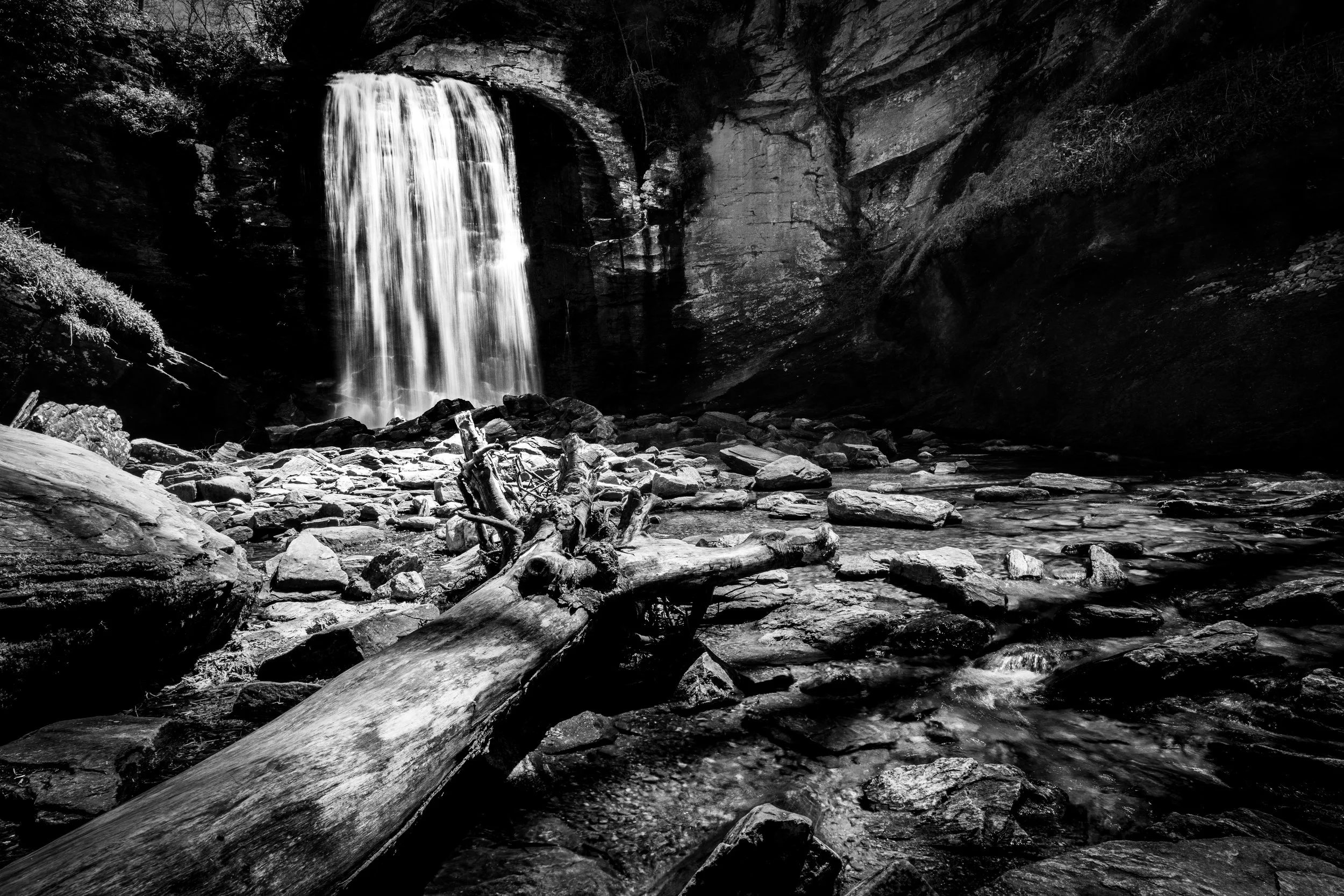 Looking Glass Falls (BW) | Pisgah National Forest, NC | 2026