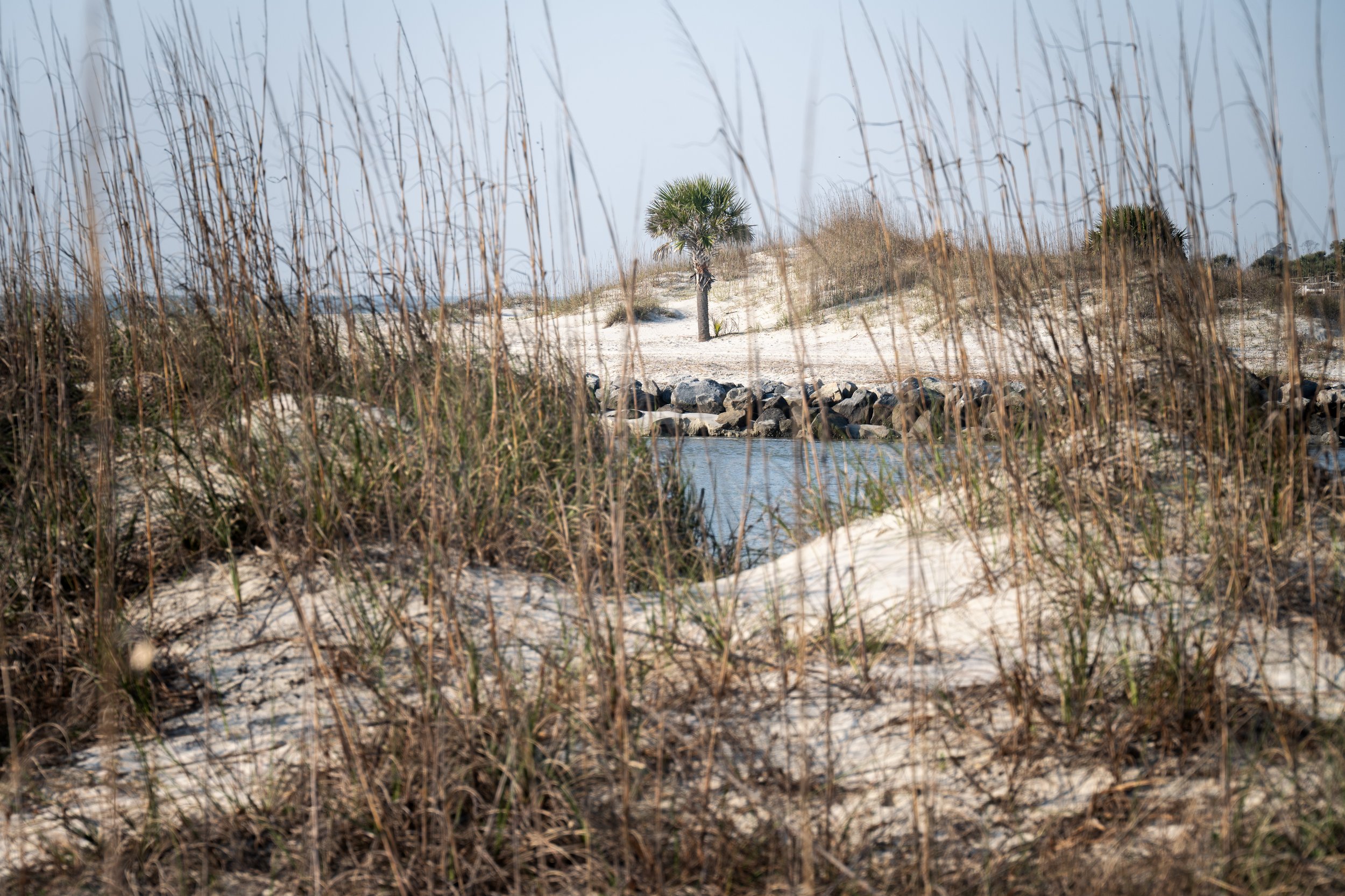 20260322_HHI_720378_Website-Website 2026-2.jpg