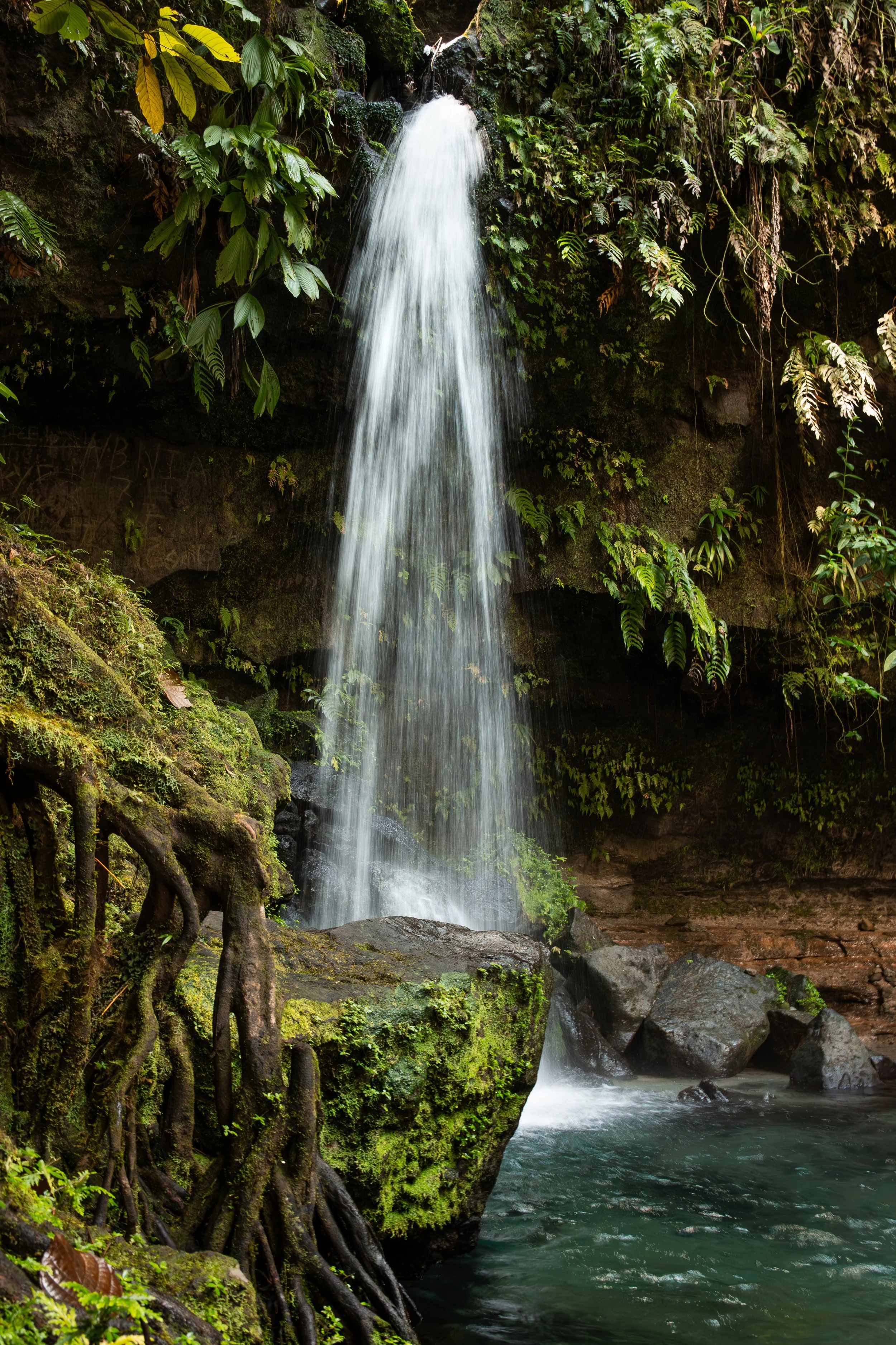 Emerald Pond | St. Kitts | 2025