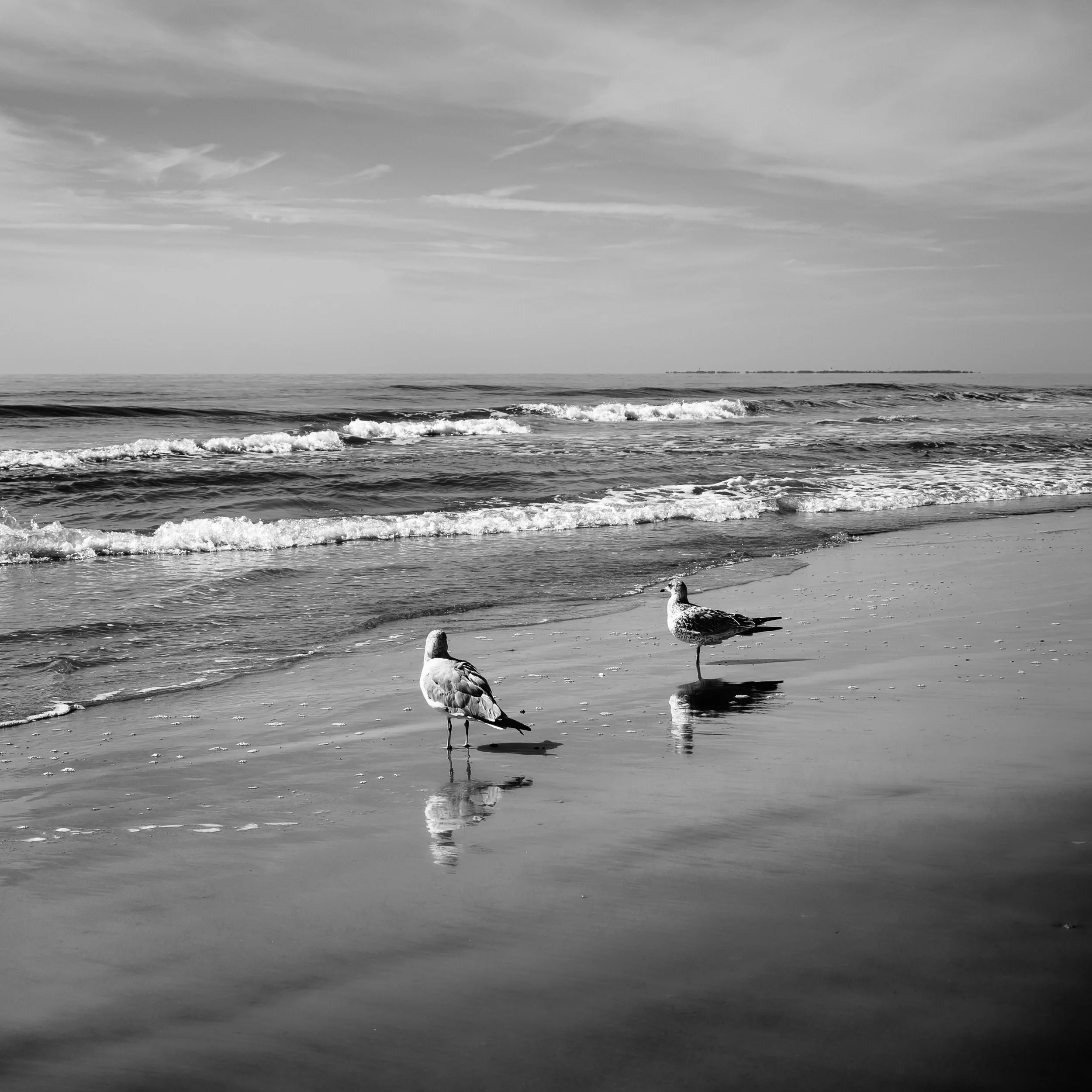 Wet Feet | Hilton Head Island, SC | 2026