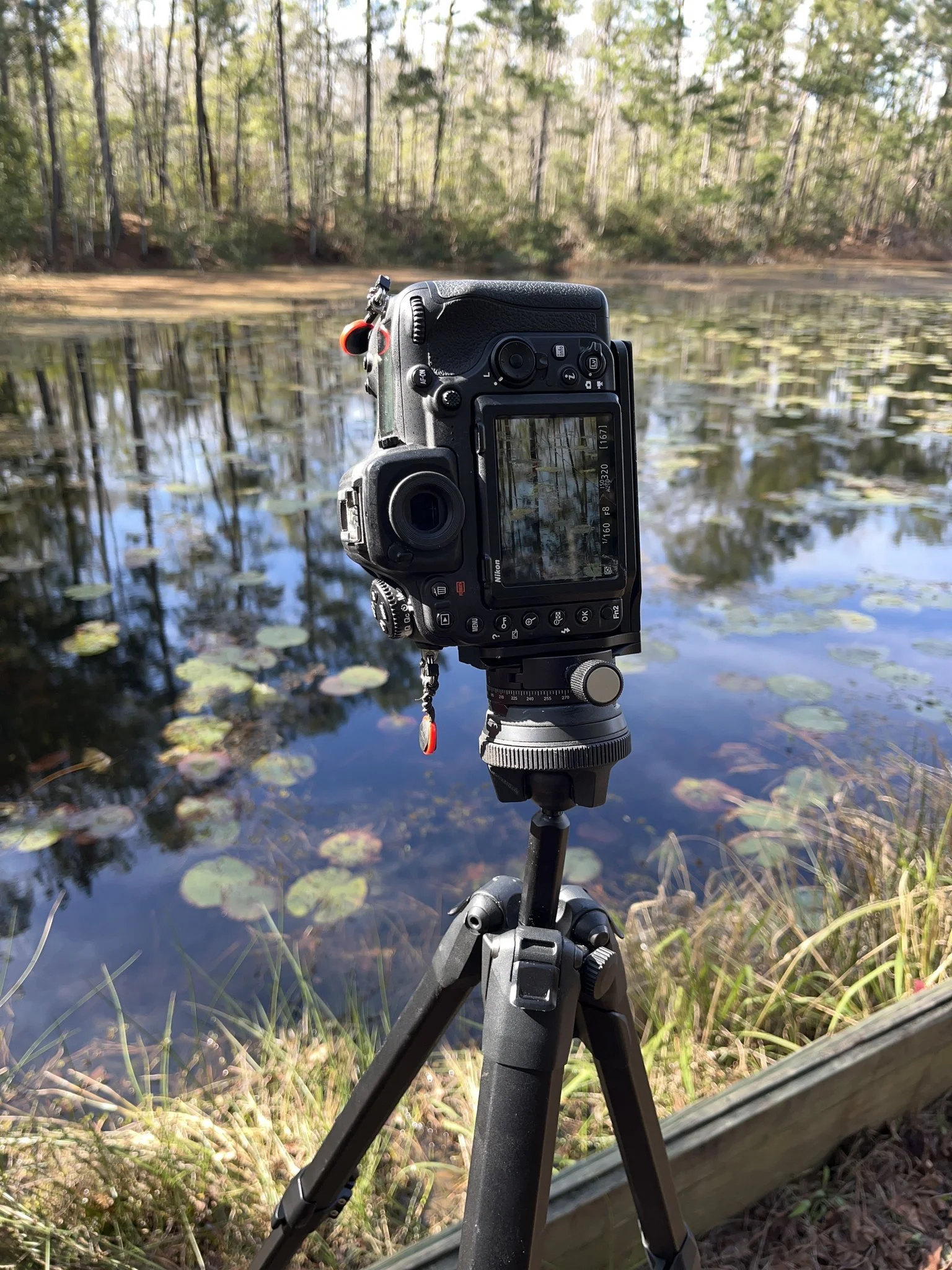 Photograph of a DSLR camera mounted on a tripod, positioned near a pond with lily pads, surrounded by trees.