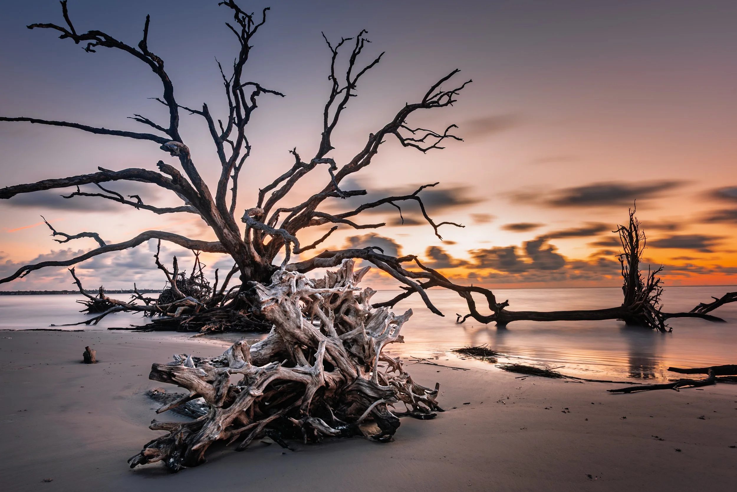 Boneyard Sunrise II | Jekyll Island, GA | 2025