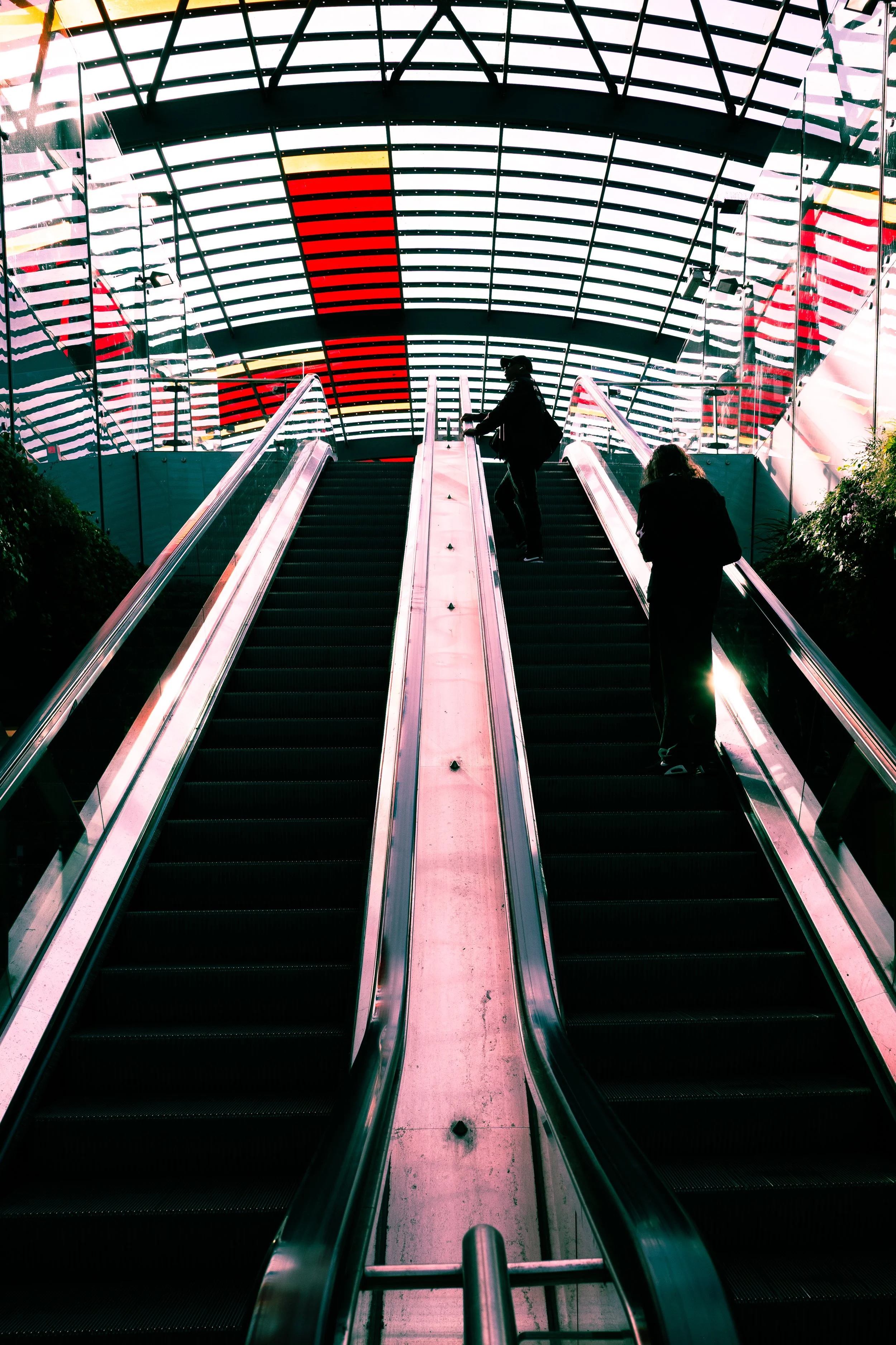 Rose-Colored Escalator | Amsterdam | 2026