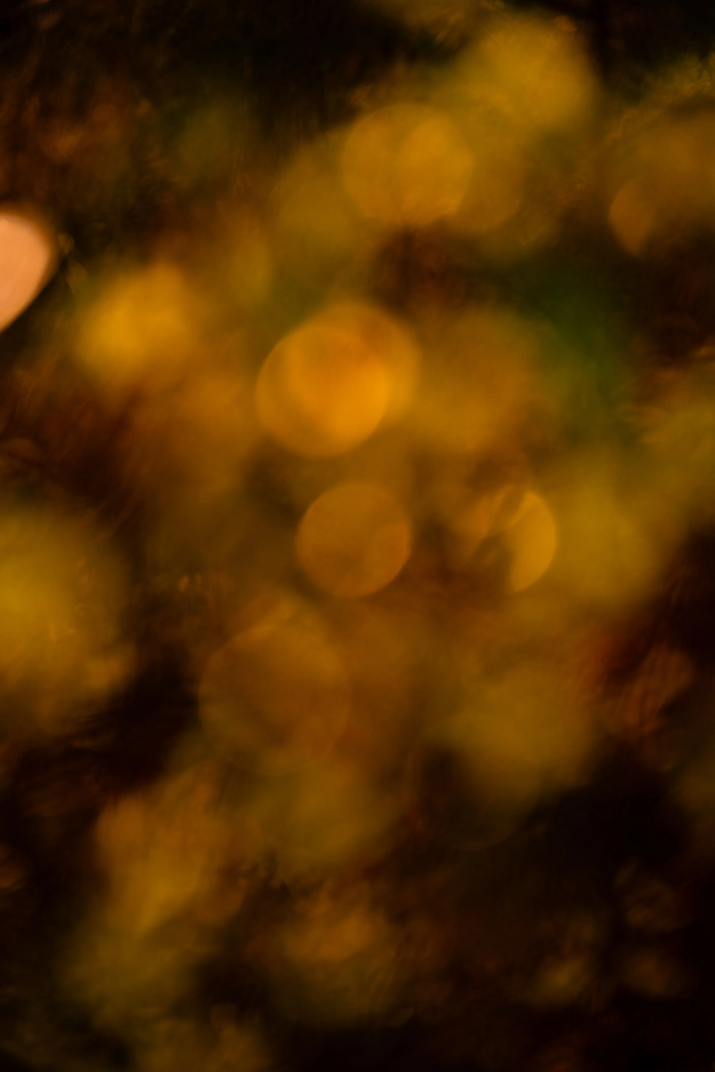 Abstract Flowers | Hilton Head Island, SC | 2026