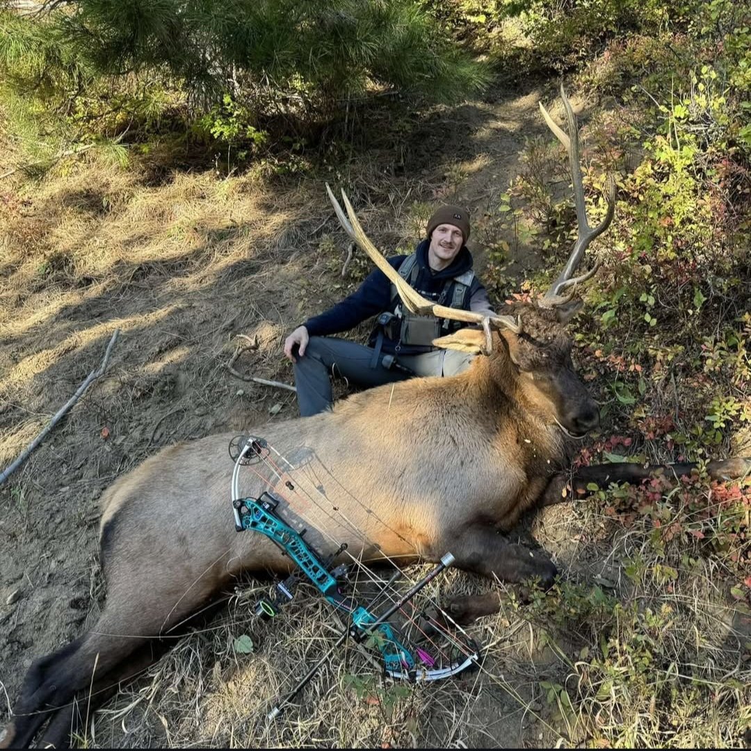 Nick Ingham sponsored shooter for flingem nation bowstrings with an idaho elk