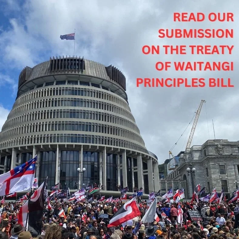 Taranaki Cathedral's Submission on the Treaty Principles Bill