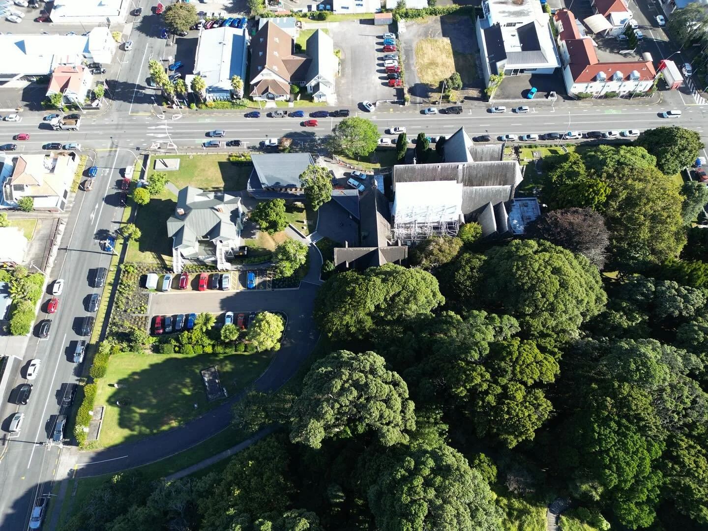 🌿You may not know that the Cathedral grounds host 20+ protected and notable trees stretching up the slopes Pūkākā including a Glastonbury thorn, chestnut, kauri, tītoki and more&hellip; sharing roots around our site. Come check them out, and pick up