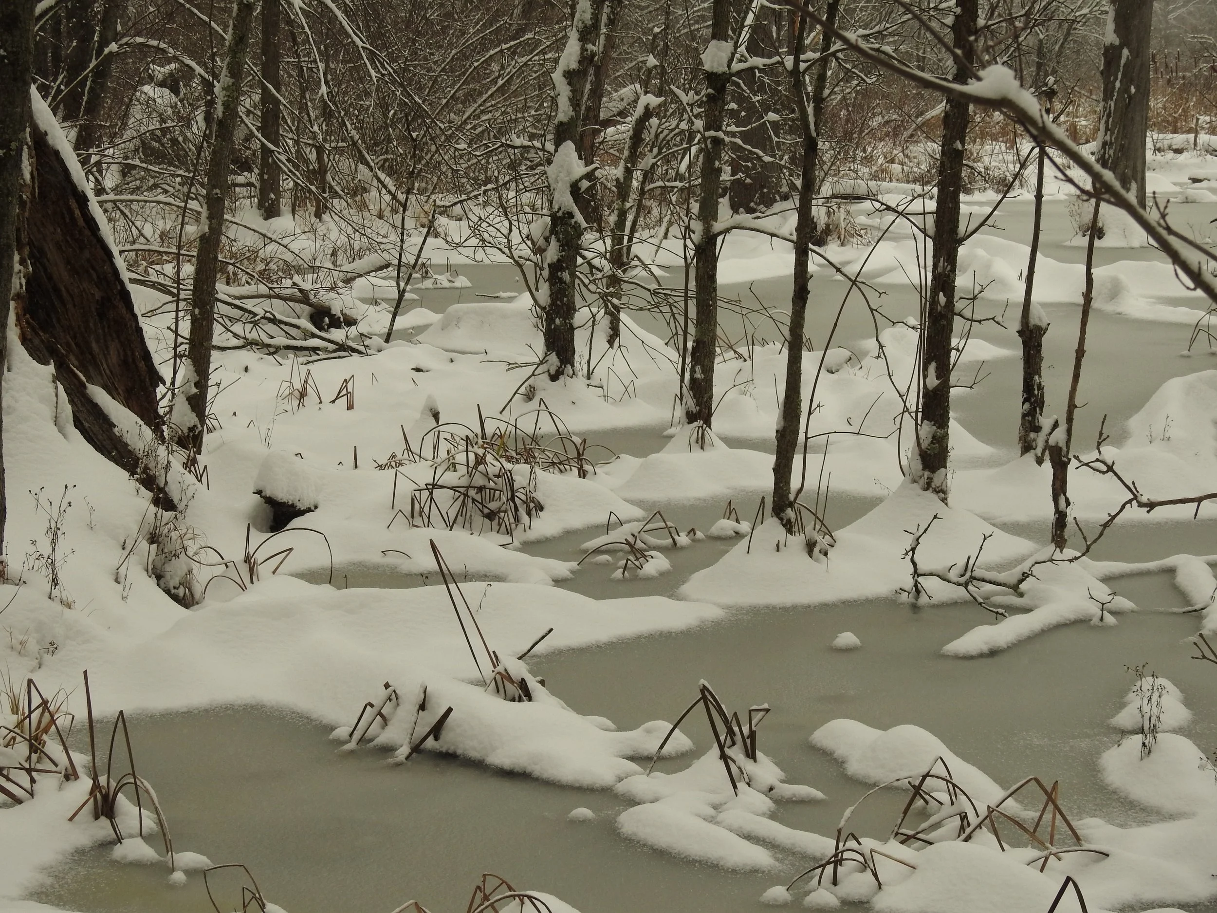Winter Solstice Walk