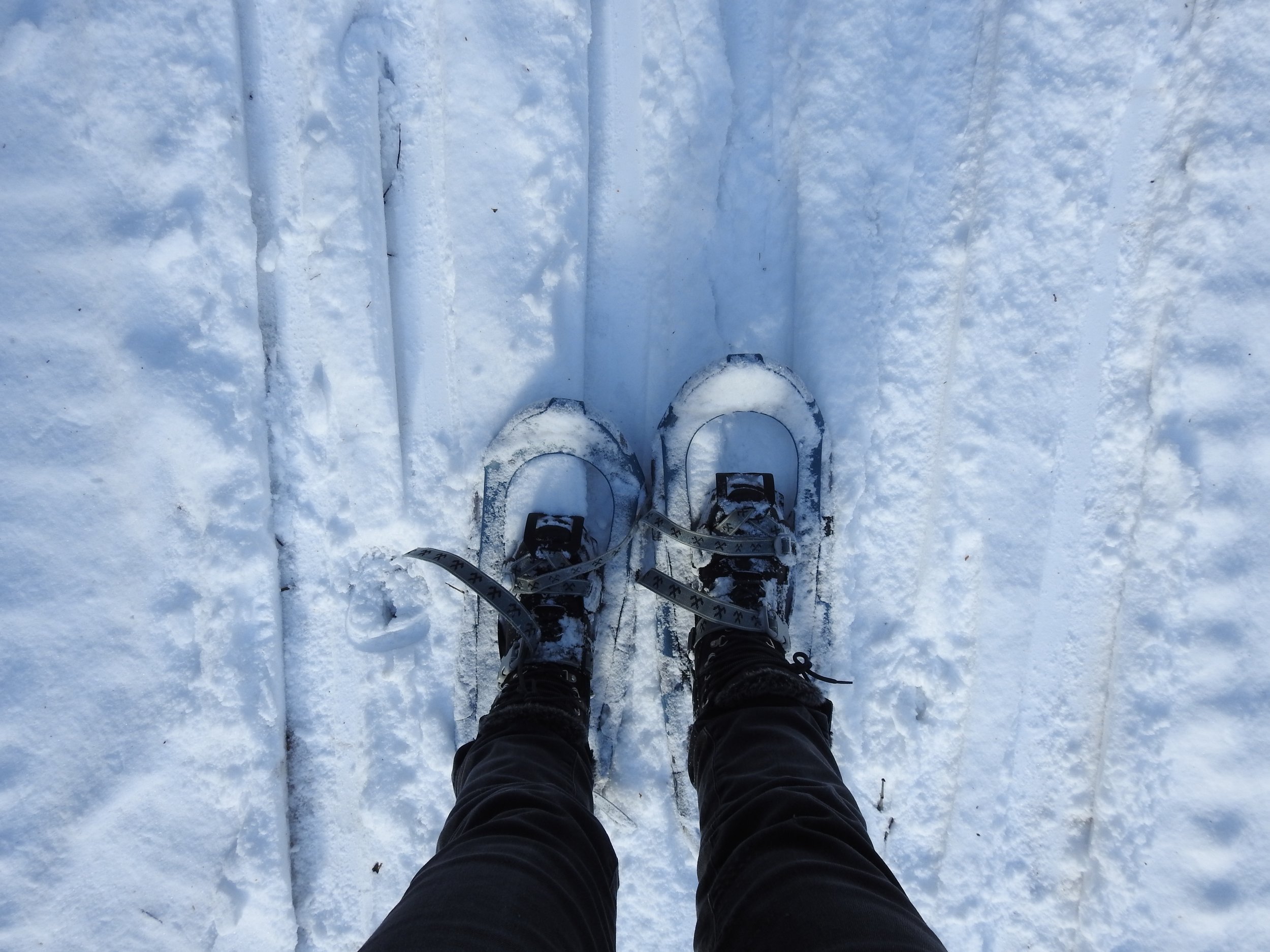 Snowshoe Adventure