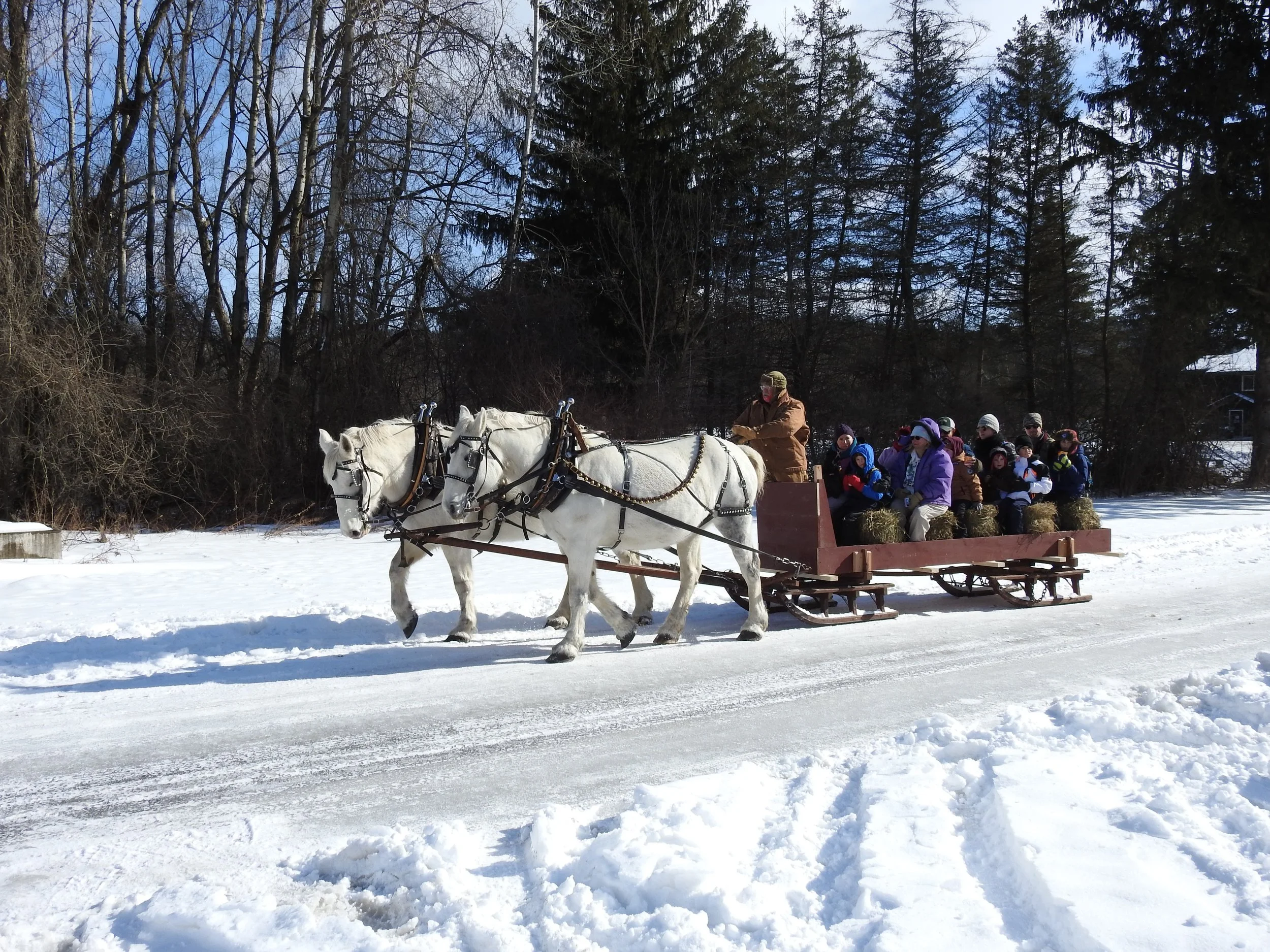 Winter Living Celebration!