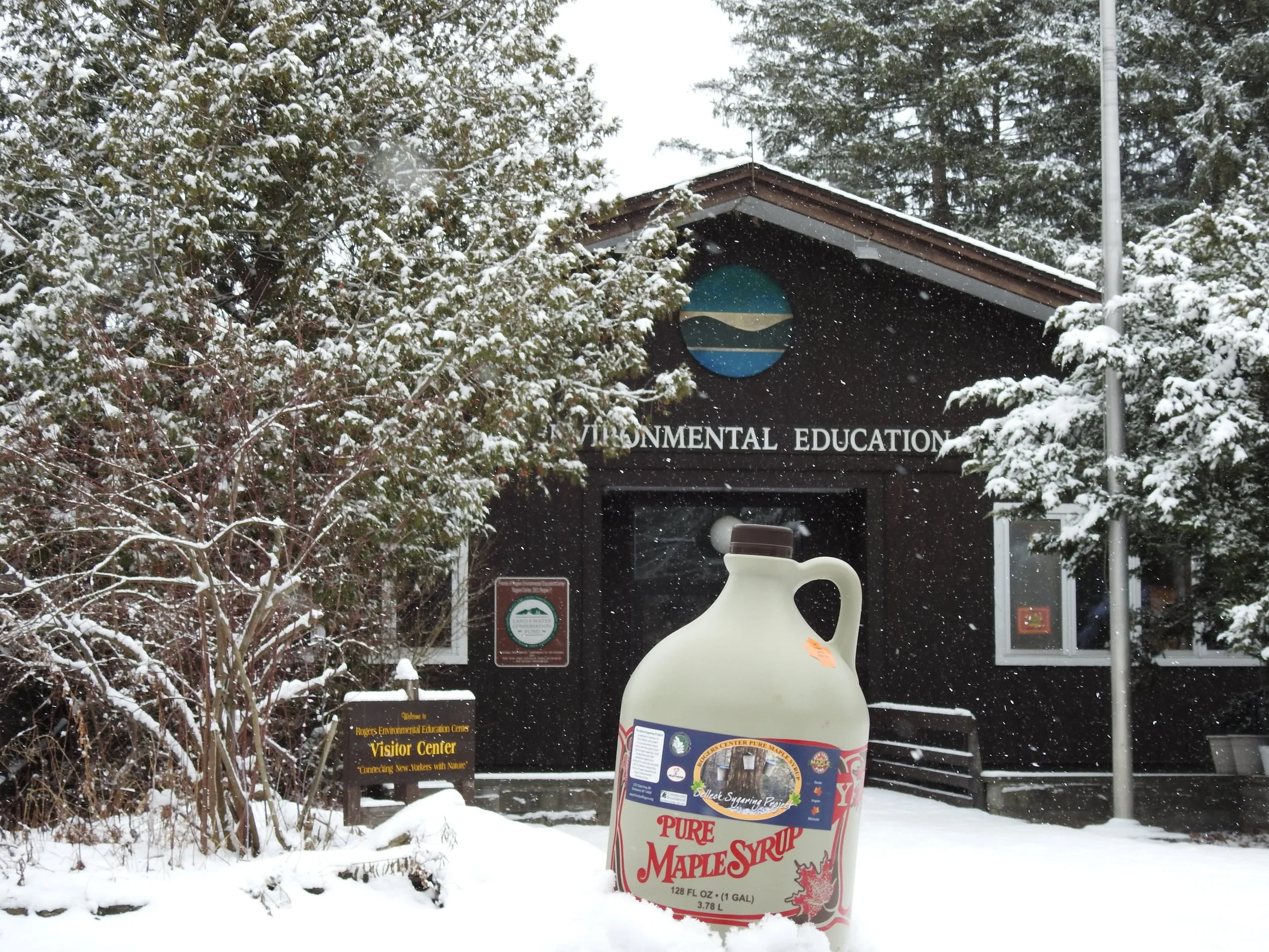 Open Homeschool Group