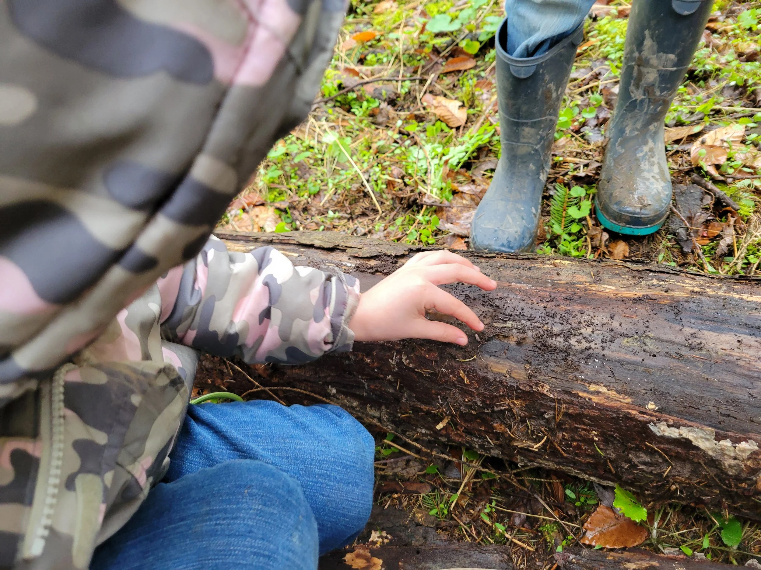 Open Homeschool Group