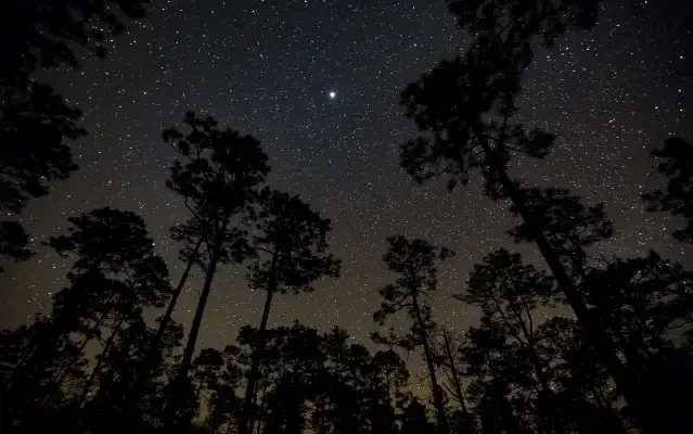 Stargazing with an Astronomer