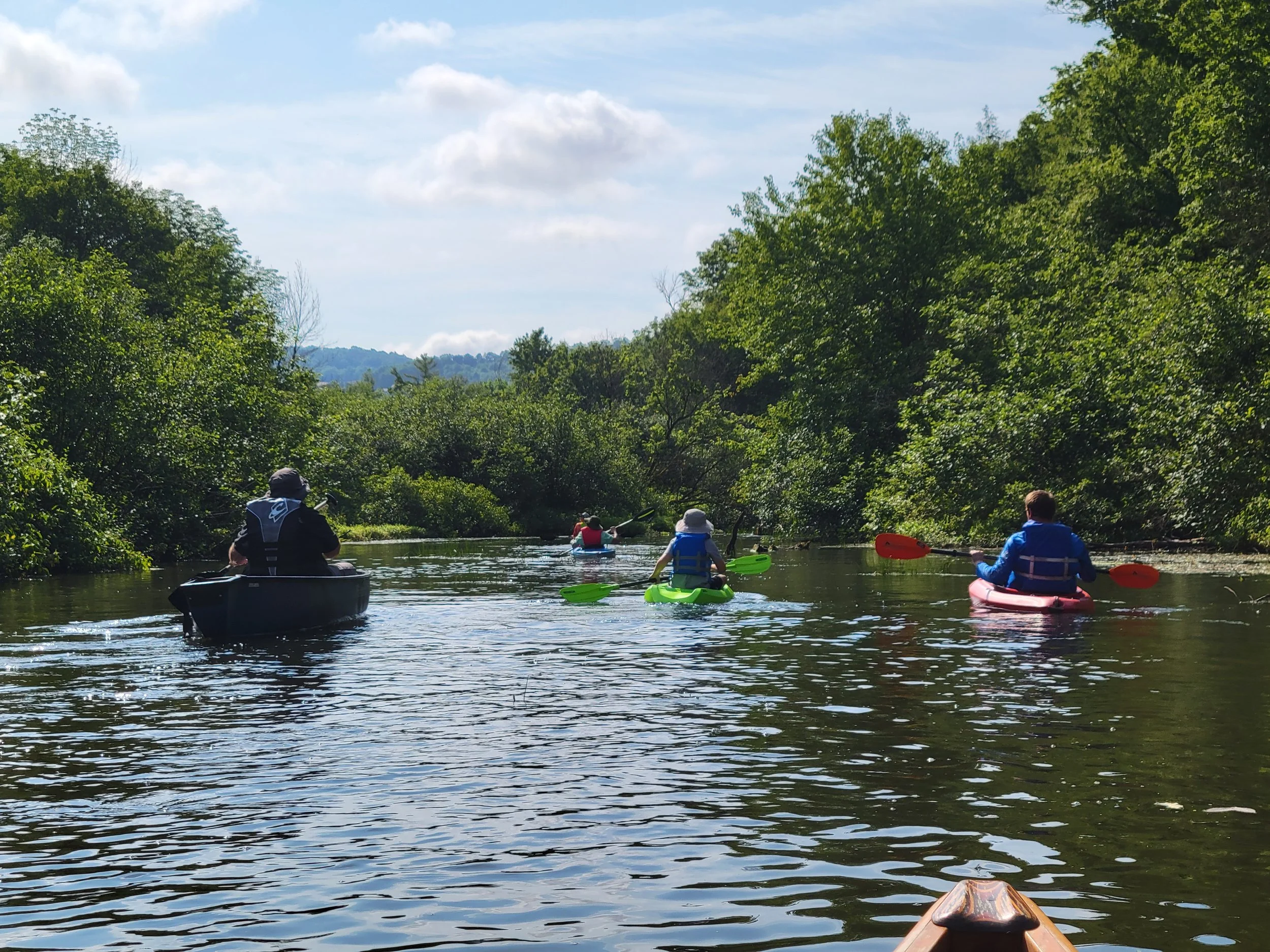 Canoe Trip at Nine Mile Swamp