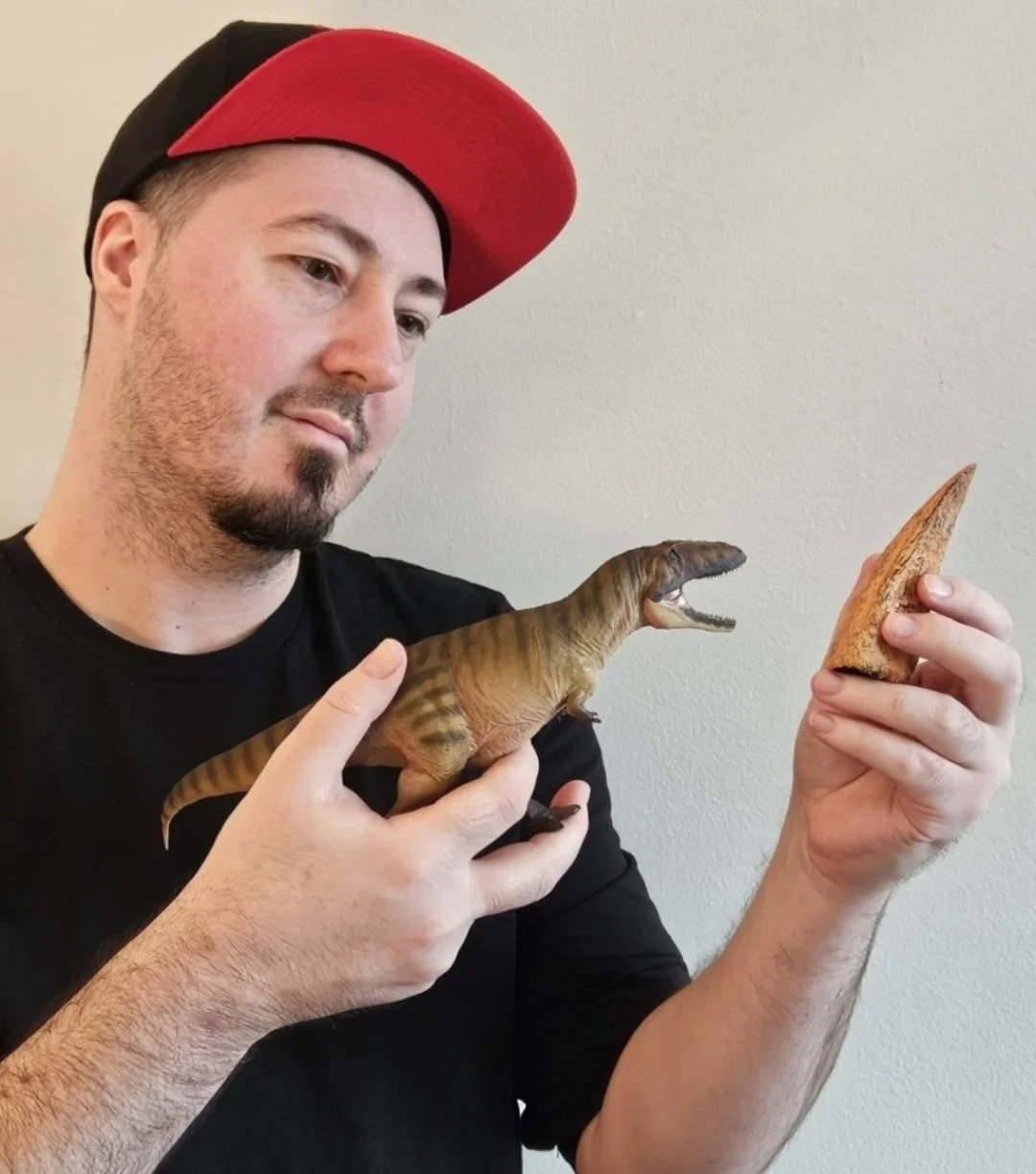 Dinosaurs as Real Animals 