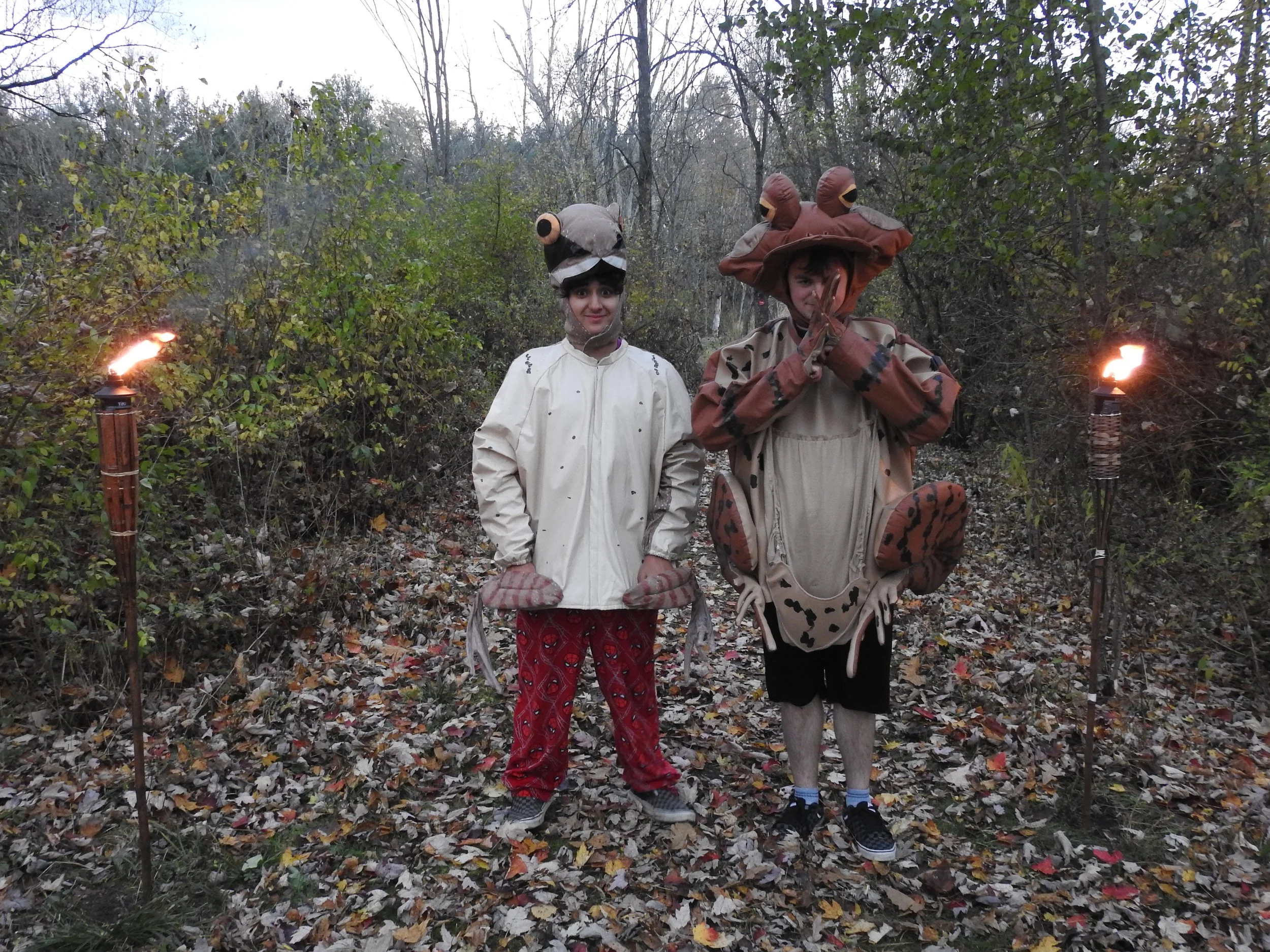 Animals of Halloween