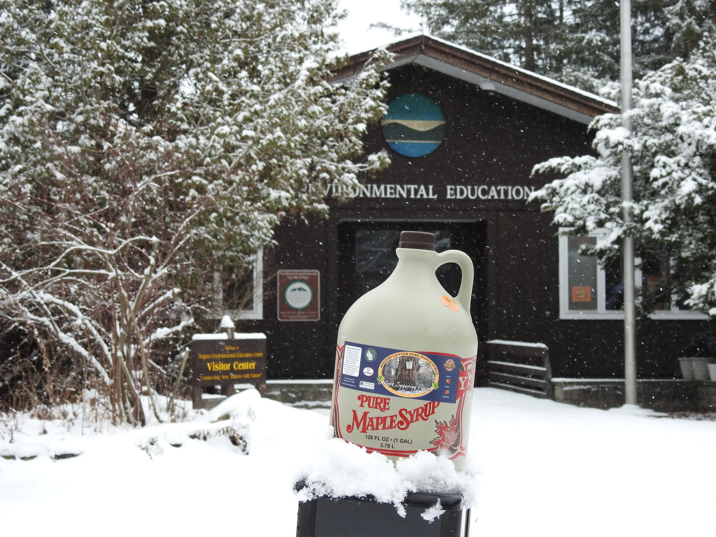 Black Friday Maple Syrup Sale