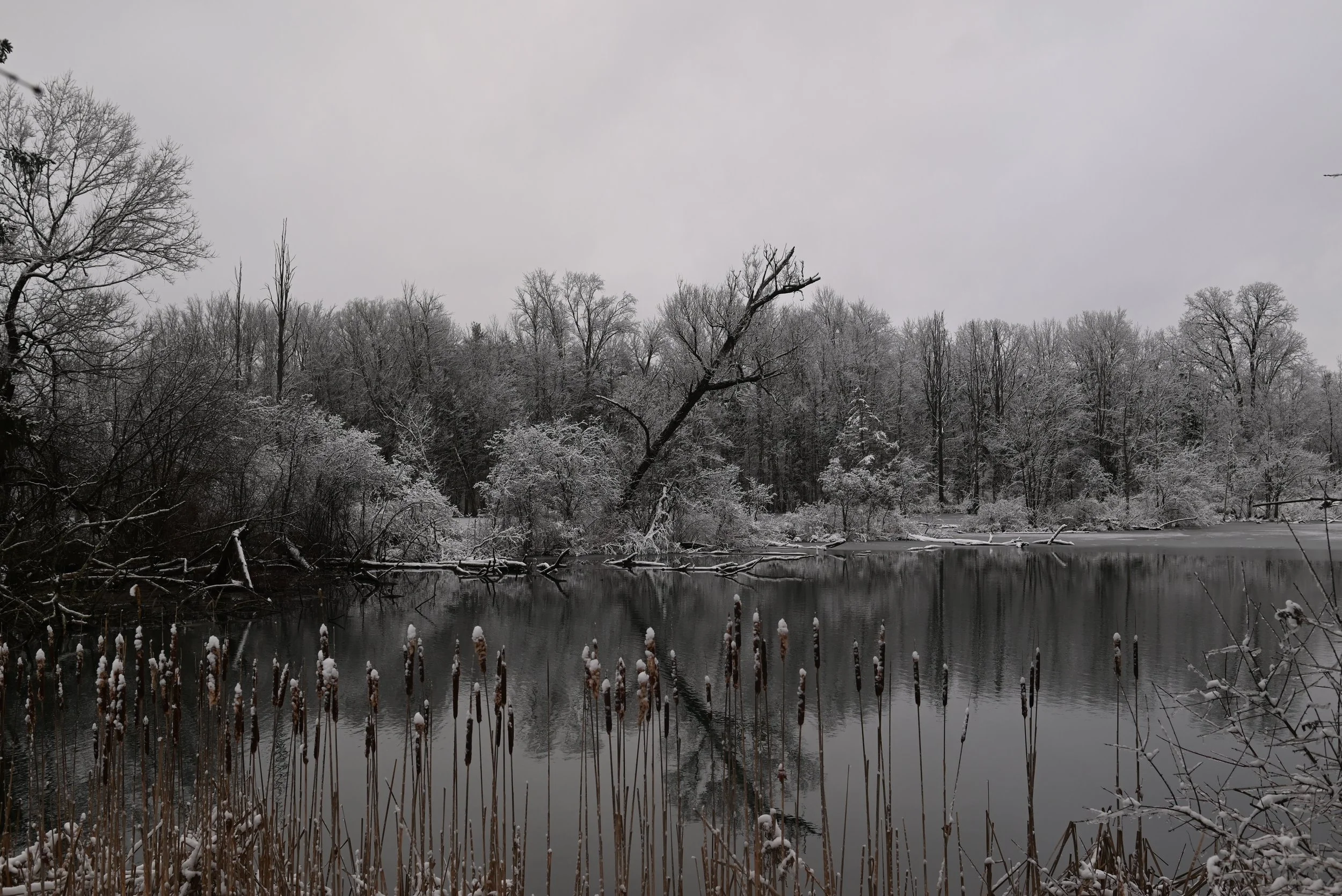 Winter Solstice Walk