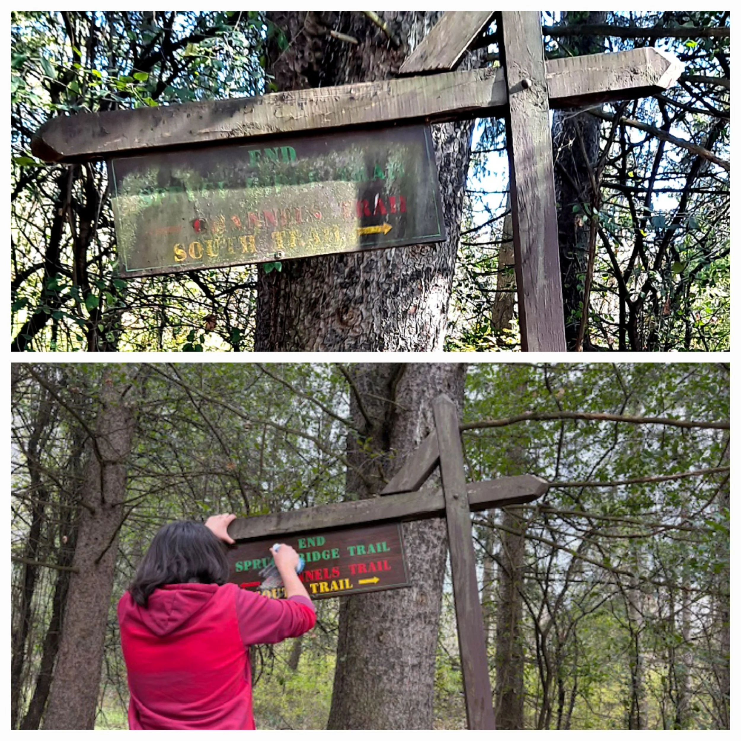 Laura Fontaine giving new life to a directional sign on the trails.