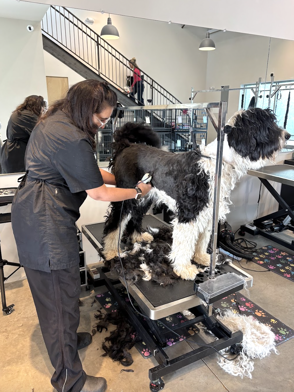 Your Choice for Pup Pampering: Four Paws Pup Boutique &amp; Mobile Grooming