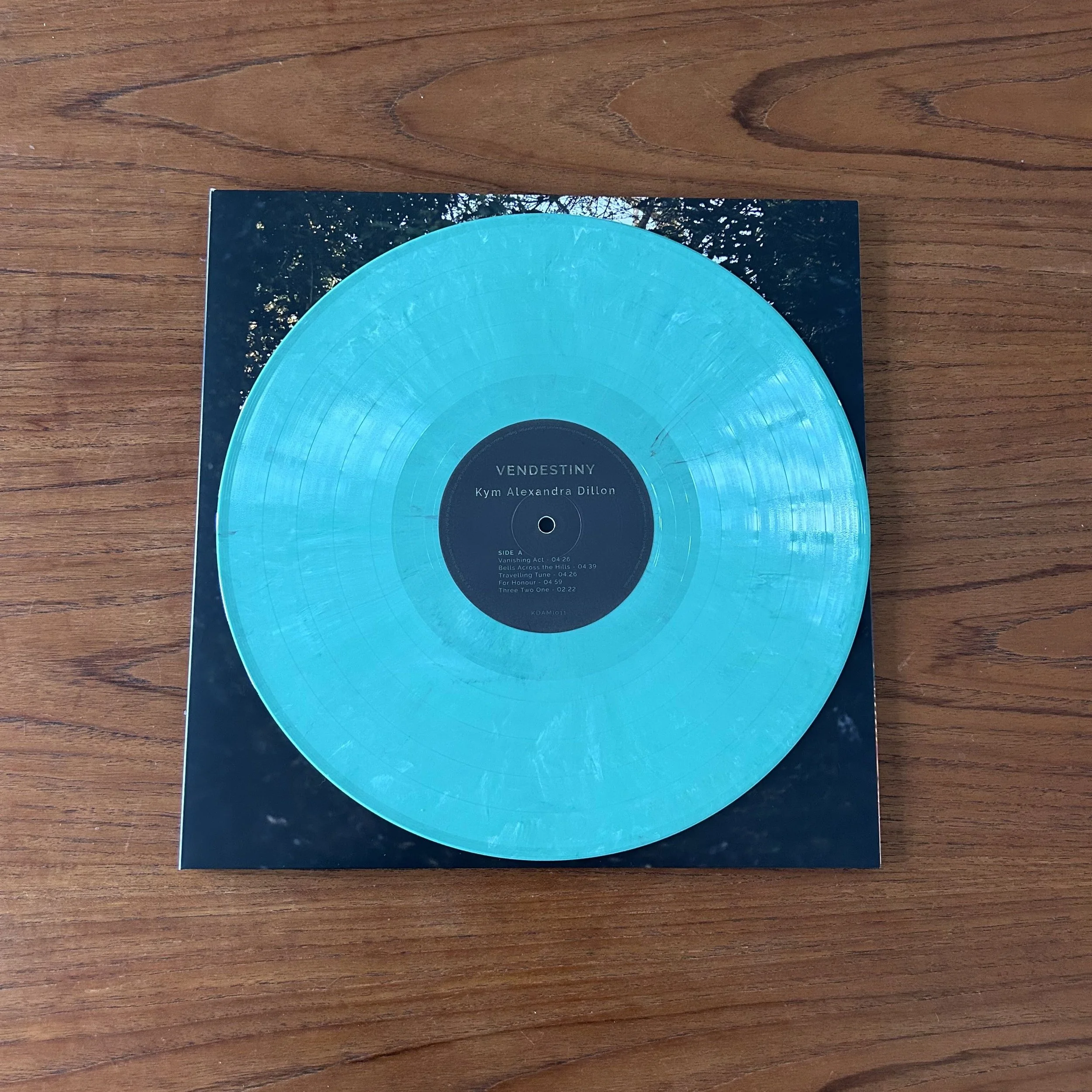 Kym LP merch photo 6 .jpg