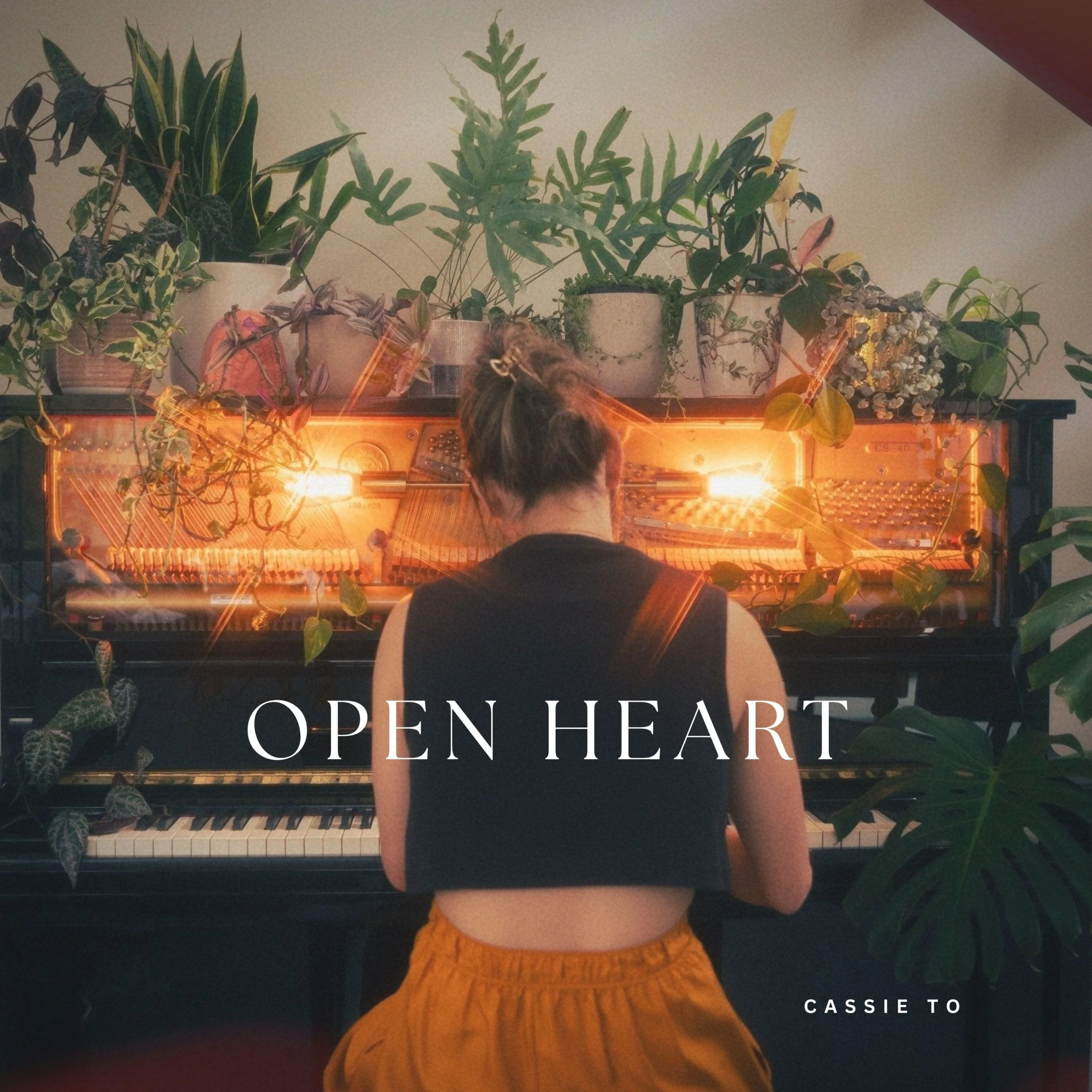 Cassie To Open Heart cover.jpg