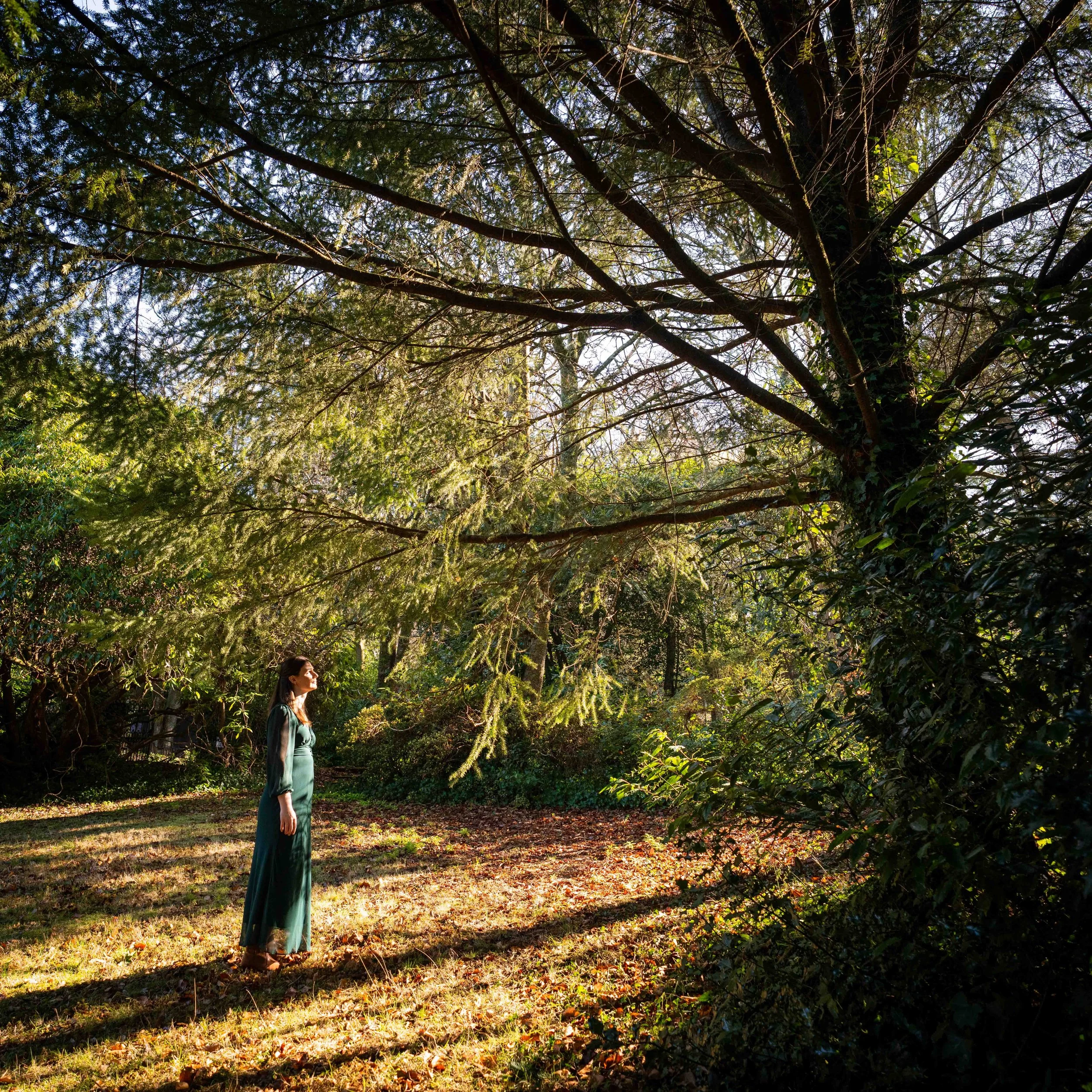 Kym Alexandra Dillon forest 3.jpg