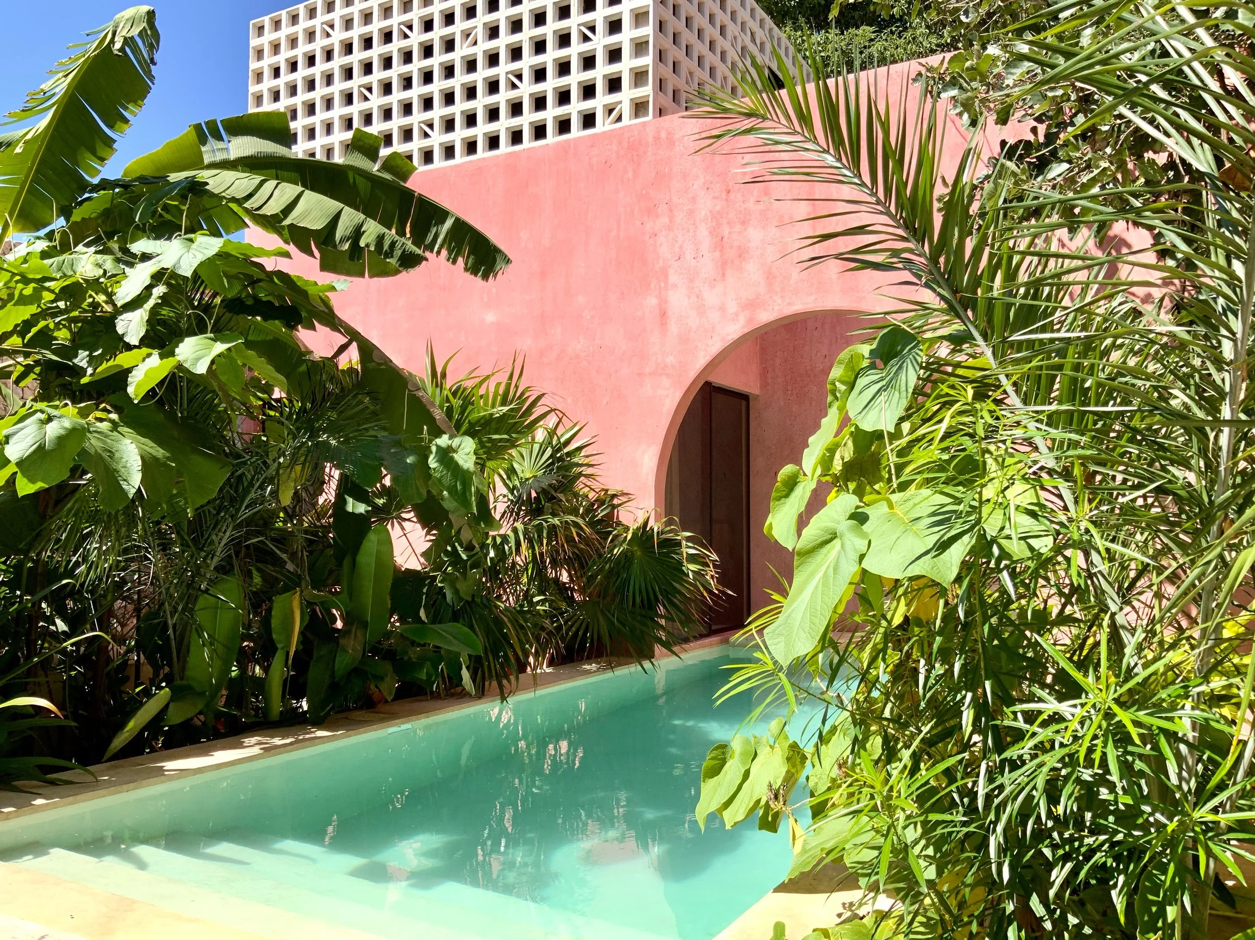 Jardín de la 50
