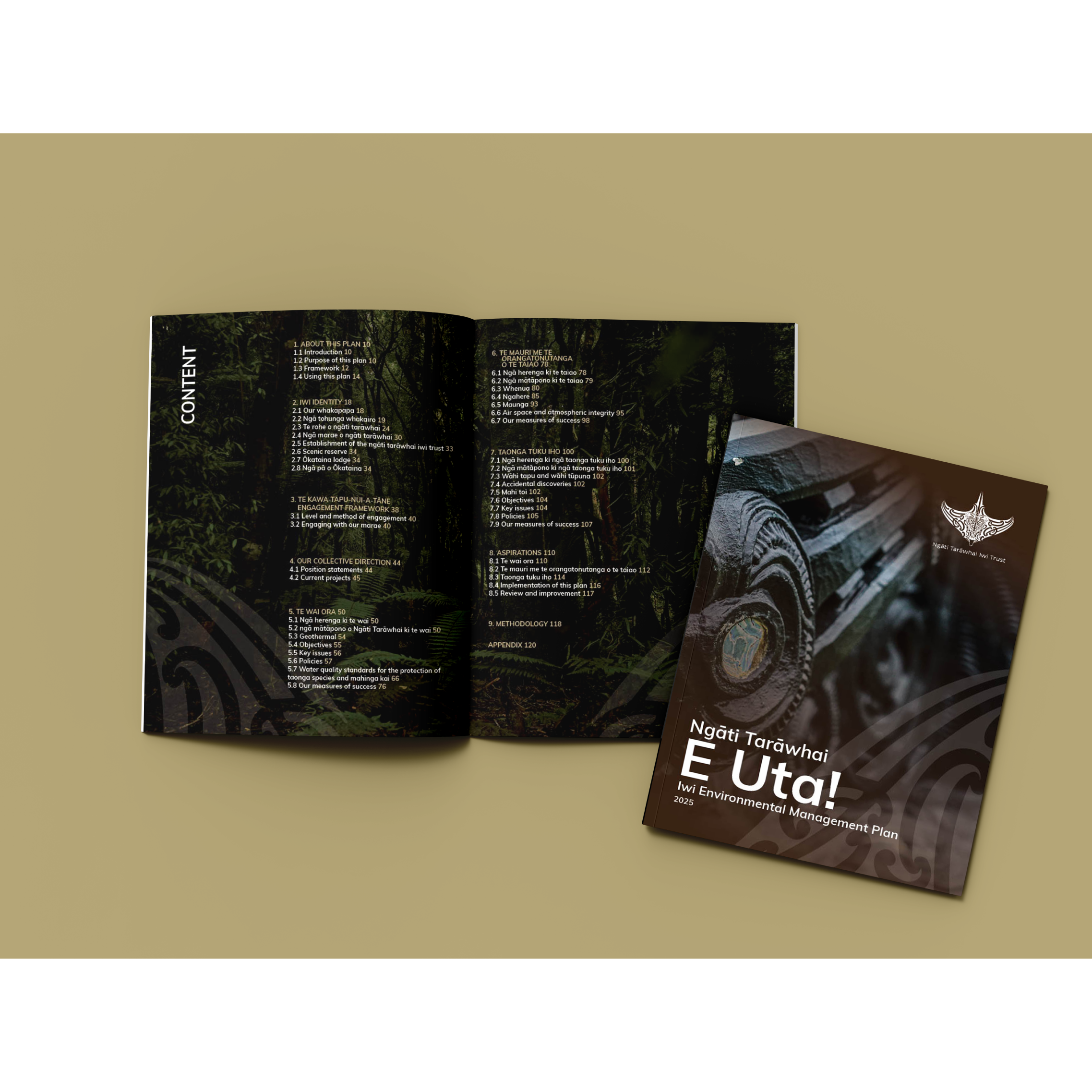 Ngāti Tarāwhai | Iarau - Publication