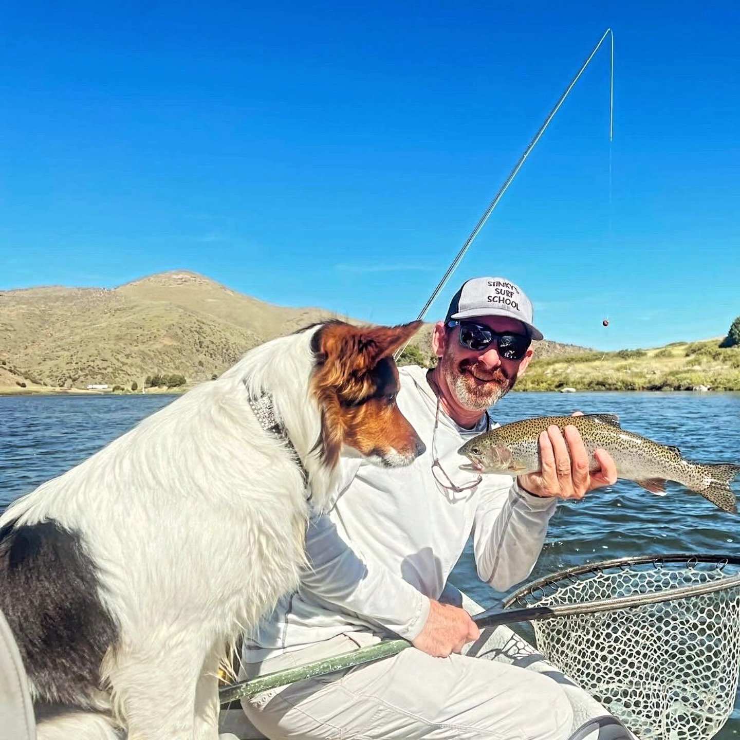 Dog + Fish.jpg