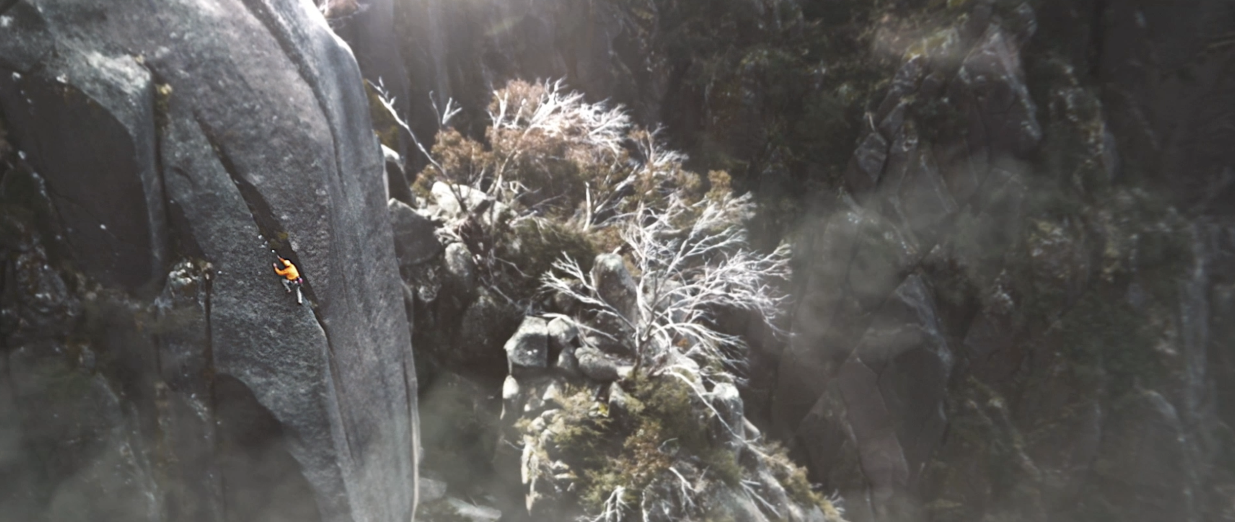 CIMB - Forward Your Ambition