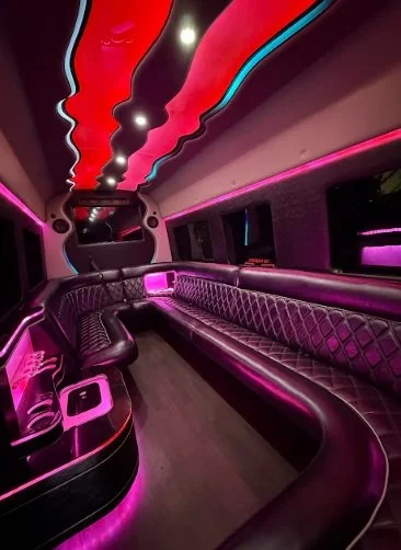 Luxury Party Mercedes Bens Sprinter Van for Bachelor & Bachelorette Parties