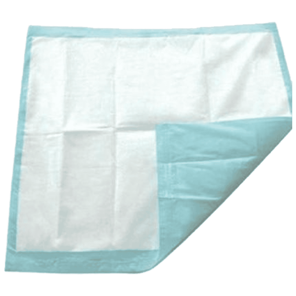 Bluey Disposable Underpad 60 x 40cm.png