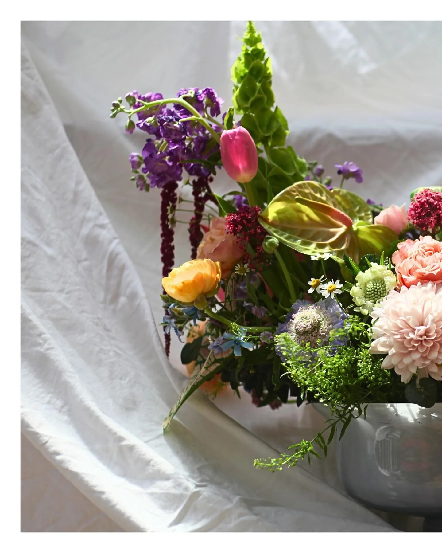 Flowers don&rsquo;t just sit pretty&mdash;they pose, they gesture, they tell stories in shape and color.

Inspired by the drama of Dutch still lifes and the unruliness of wild gardens, this piece plays with tension and movement with colors that refle