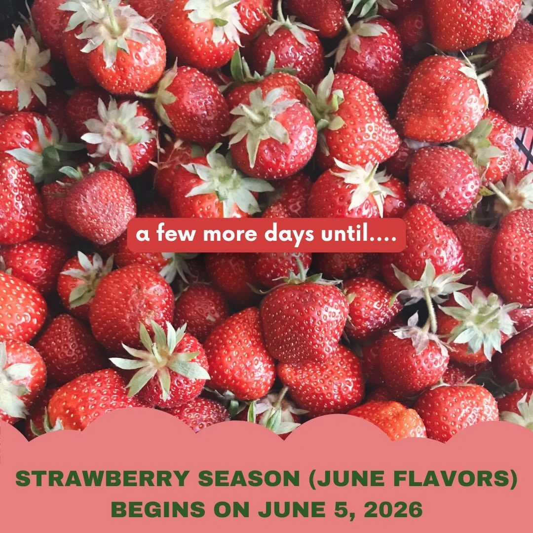 Our strawberry themed crispie treat flavors for June will drop of June 5, 2026 to coincide with the opening of this year&rsquo;s @zuckercreme &lsquo;s @pdxstrawberrymuseum