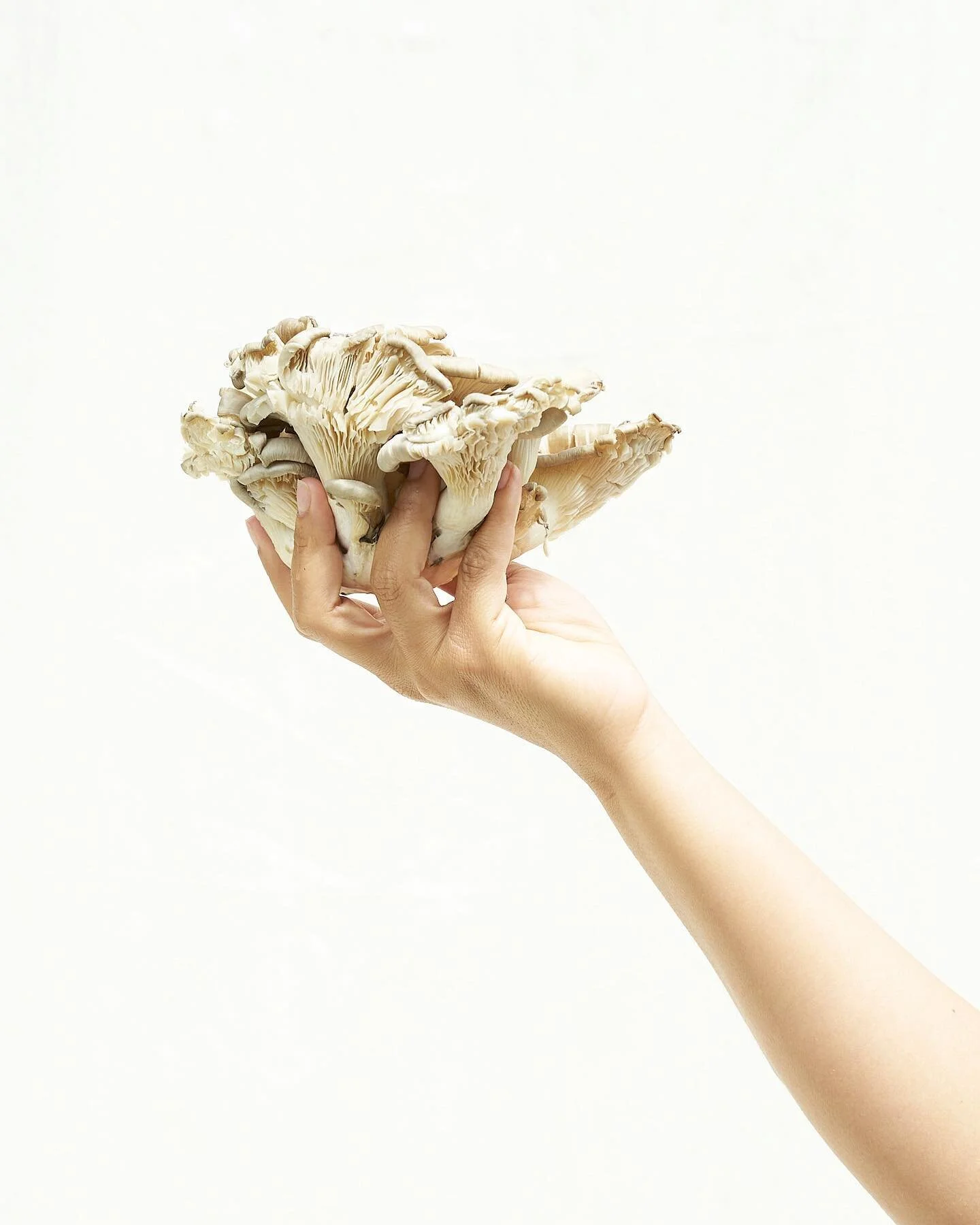 Today is a beautiful day to celebrate spring in our community! 🍄 ✨It&rsquo;s the opening day of @orcasislandfarmersmarket which is always a meaningful marker of a warm, abundant season ahead. We won&rsquo;t be there with a booth today (we&rsquo;ll b