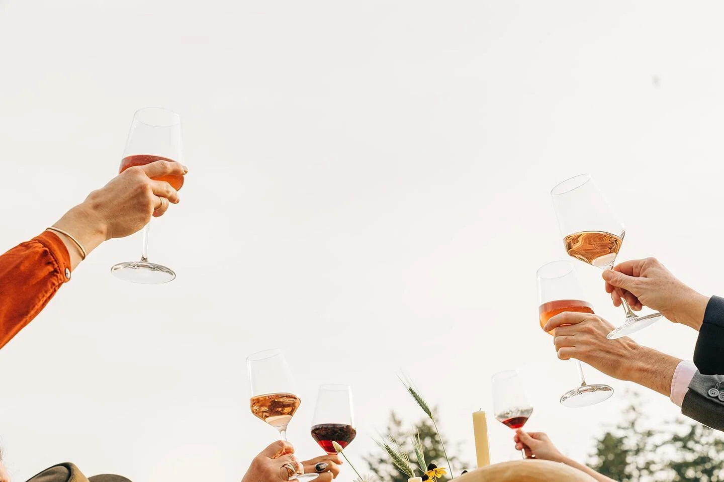 Yesterday we flung the front farmhouse doors wide open. &ldquo;New life!,&rdquo; the energy shouted with glee. The sun drenched the property. You arrived in abundance with gusto! The gems of rich, dynamic colors filled glasses and bounced off the mou