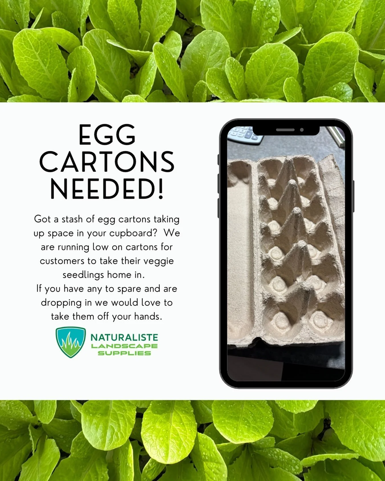 Our stash of egg cartons for veggie seedlings is running low, if you have some you don&rsquo;t need and are heading out to the yard we would love to take them off your hands. #naturalistelandscapesupplies #busseltonveggieseedlings #busseltongardencen
