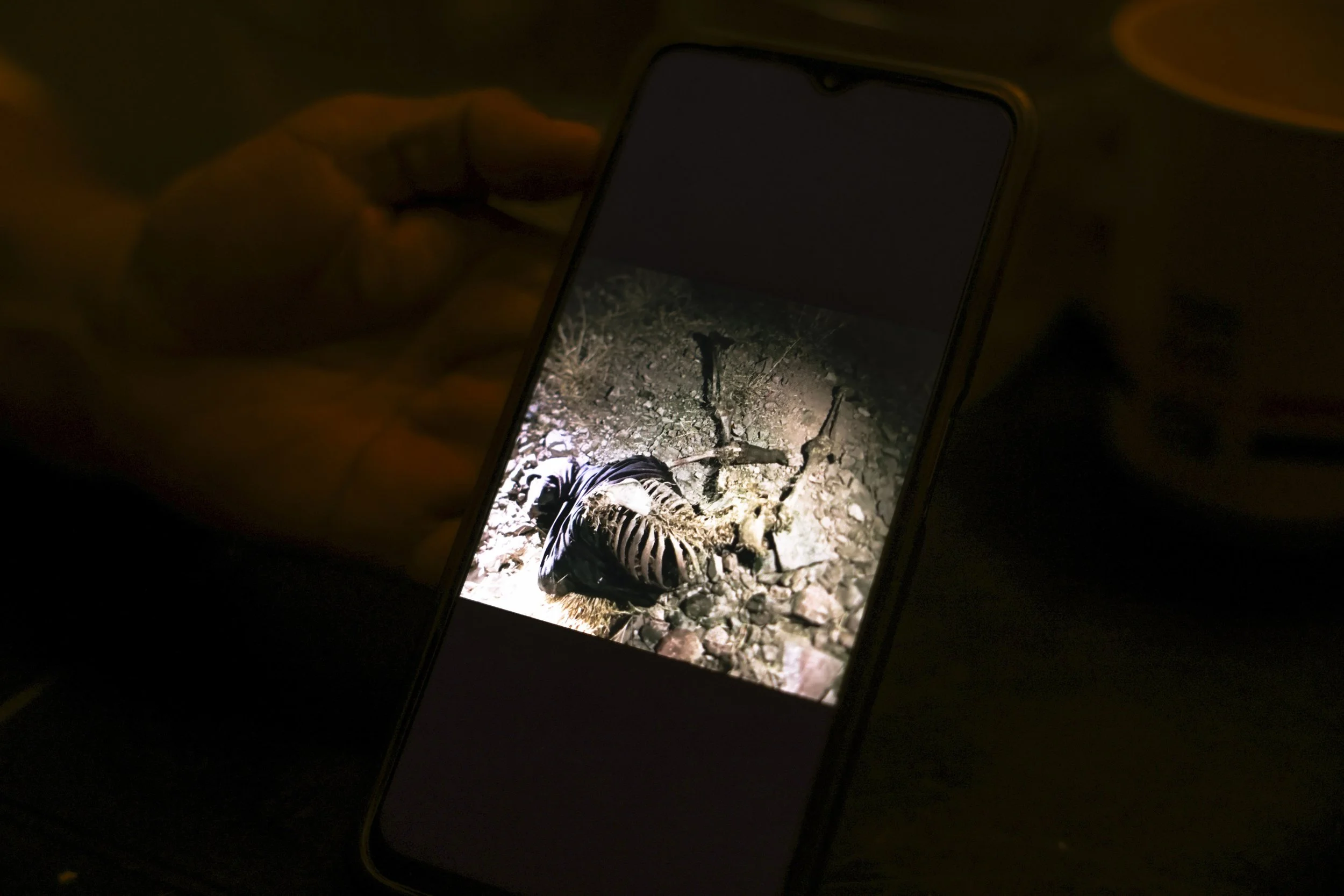 Ana Luisa shows a phone photo of a rib bone.
A grave where a person was recently found.