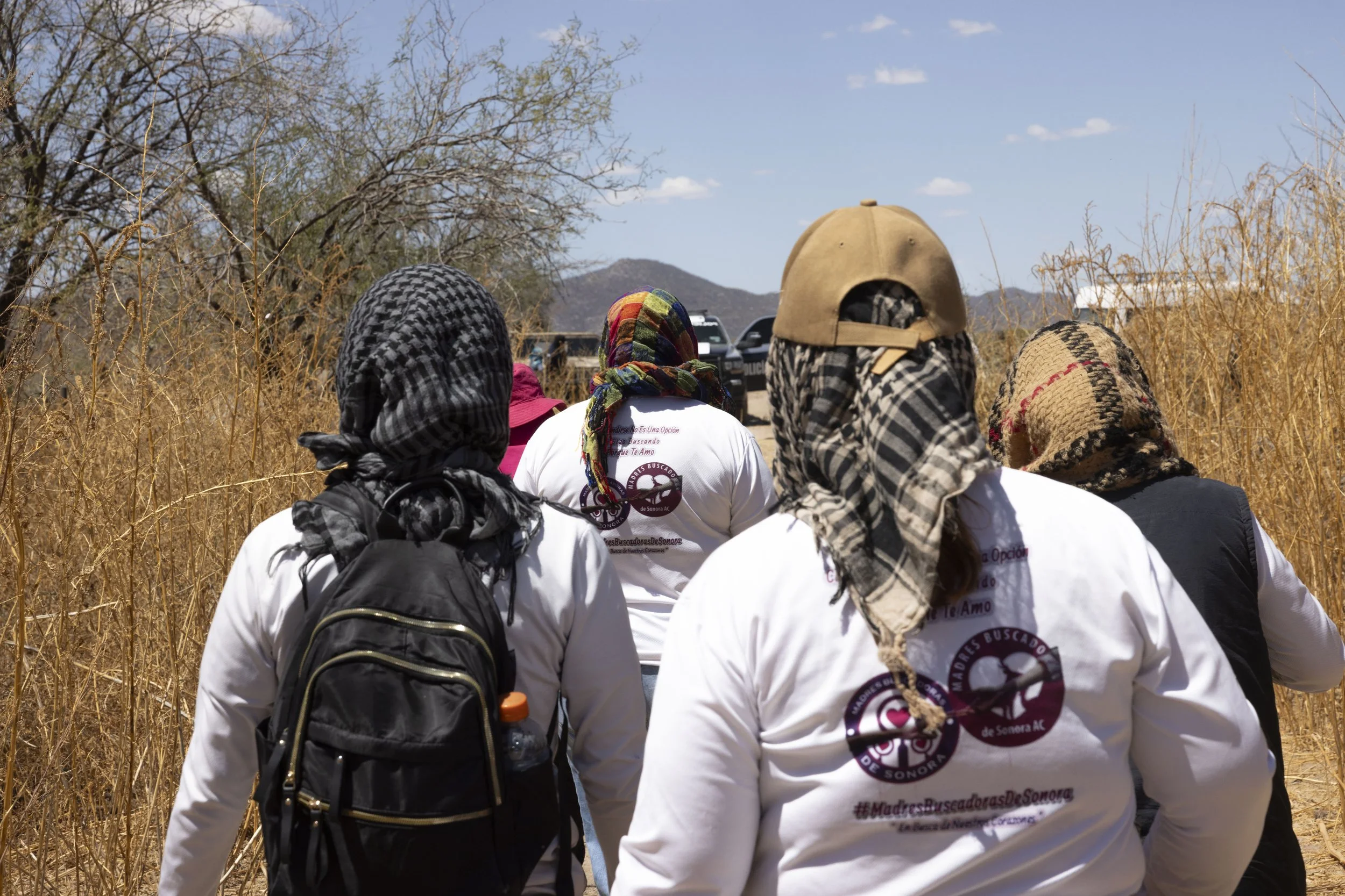The organization in the field.
They search almost every day.
