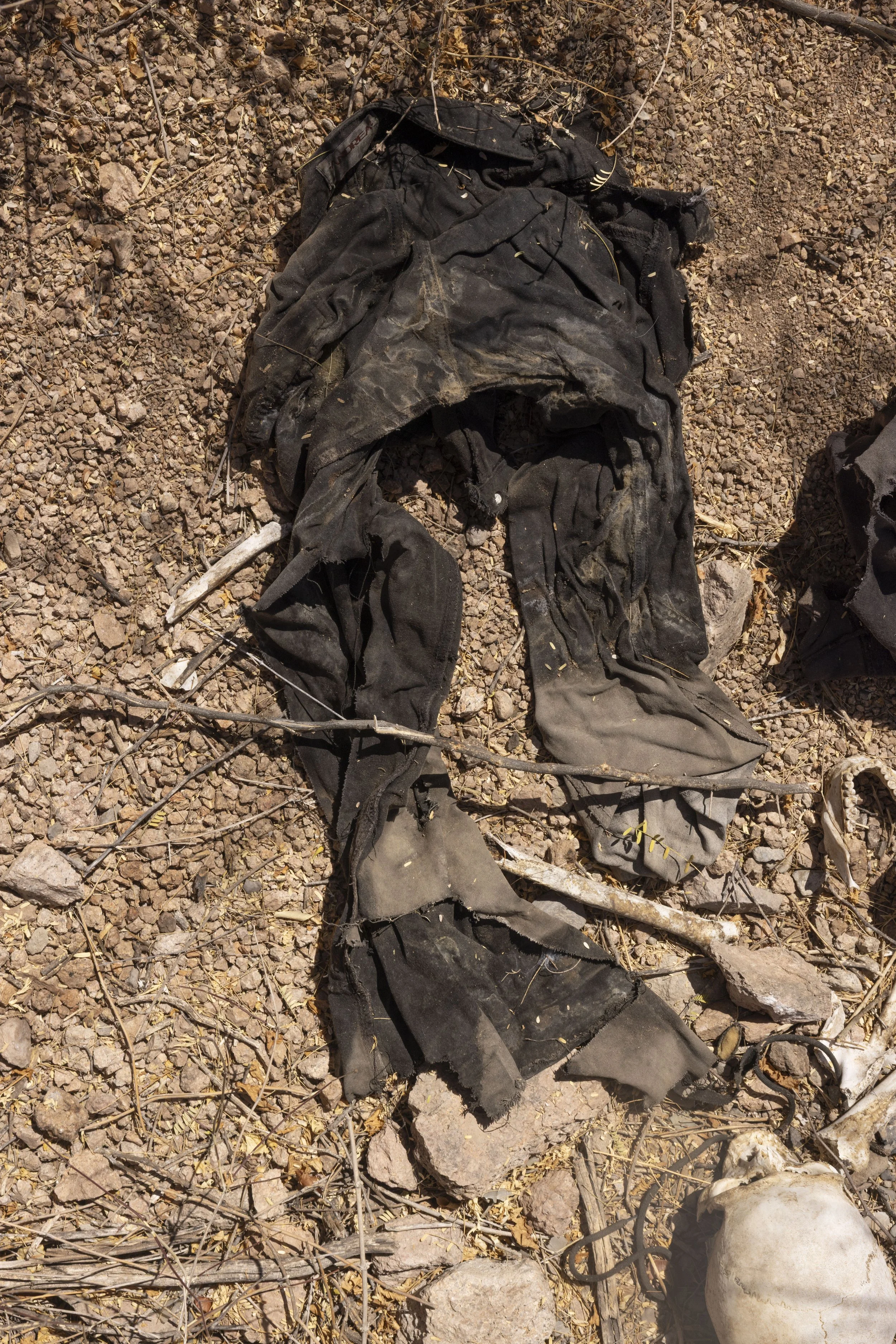 Her belongings.
Found one hour outside Hermosillo.