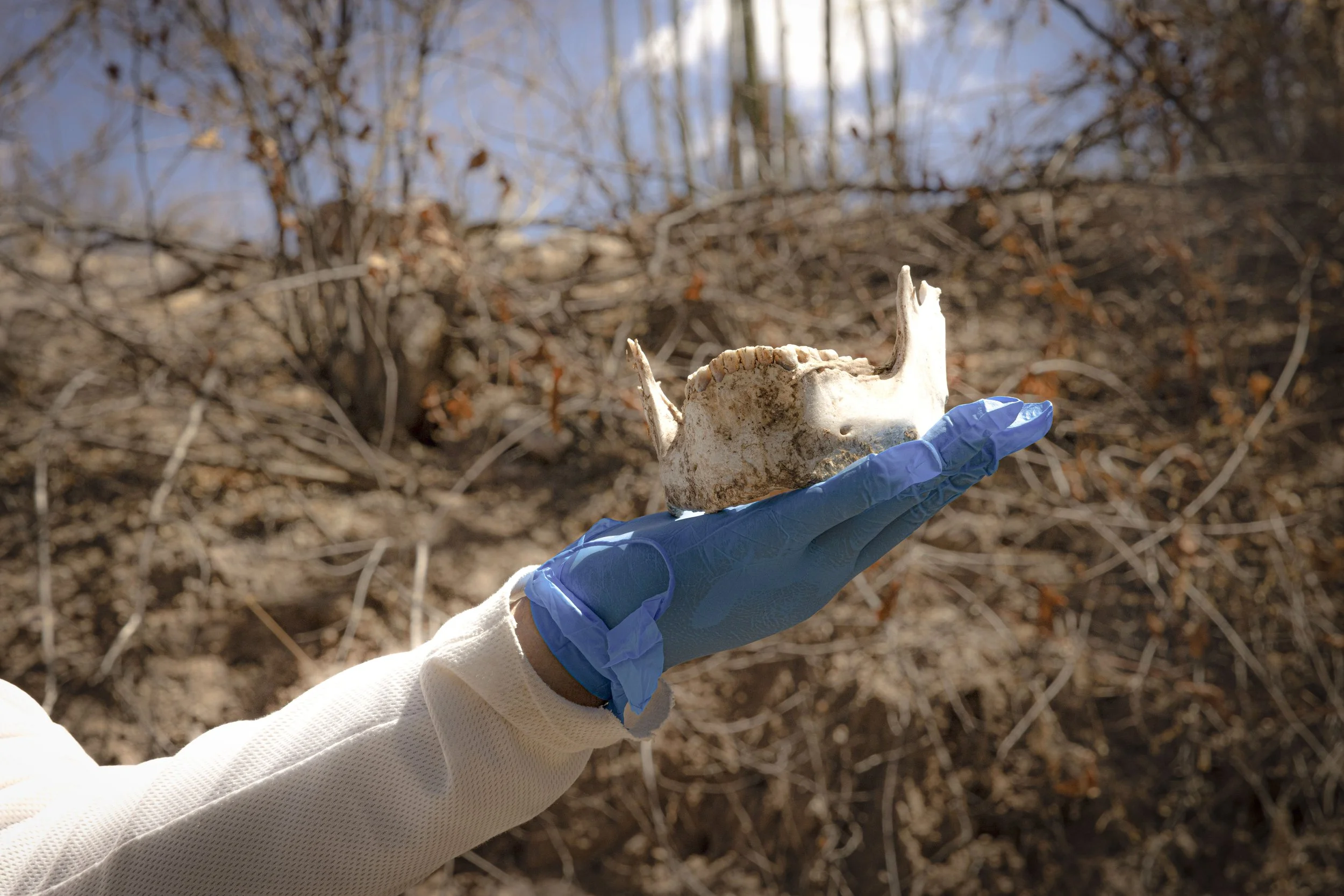 Madrebuscadoras_ (42).jpg