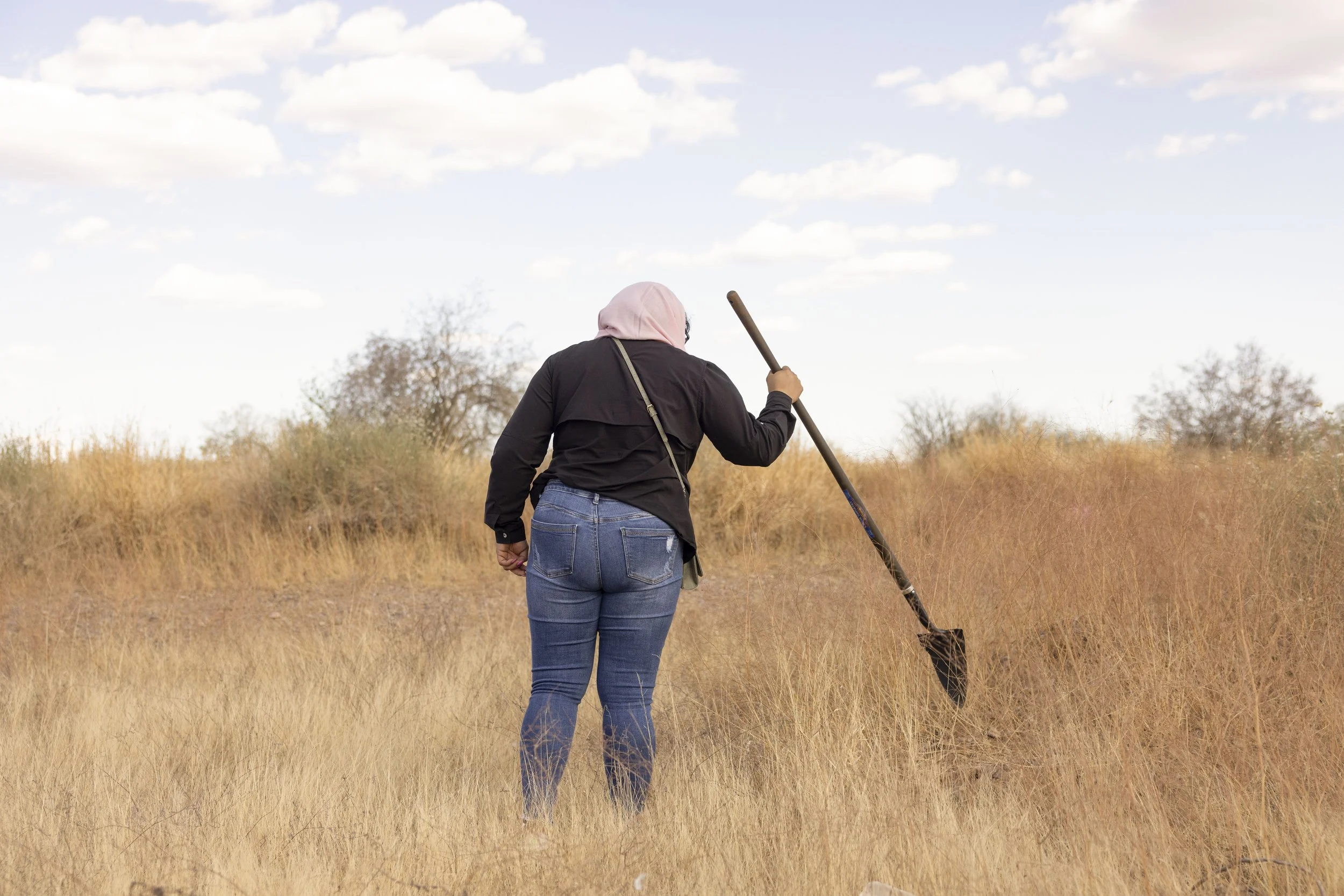 Search terrain.
Sonora desert.