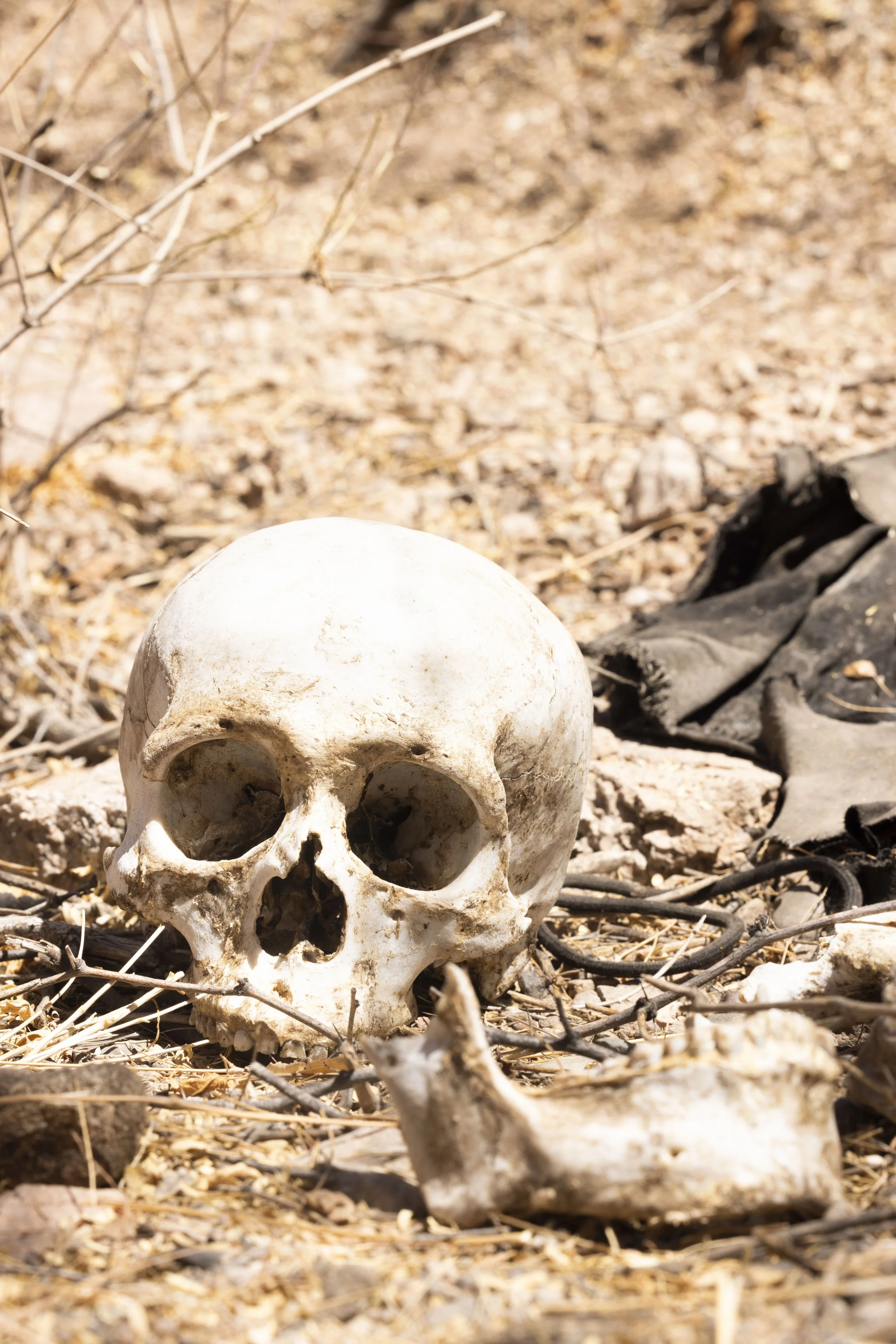 The remains of a woman, found at the roadside.
Outside Hermosillo.