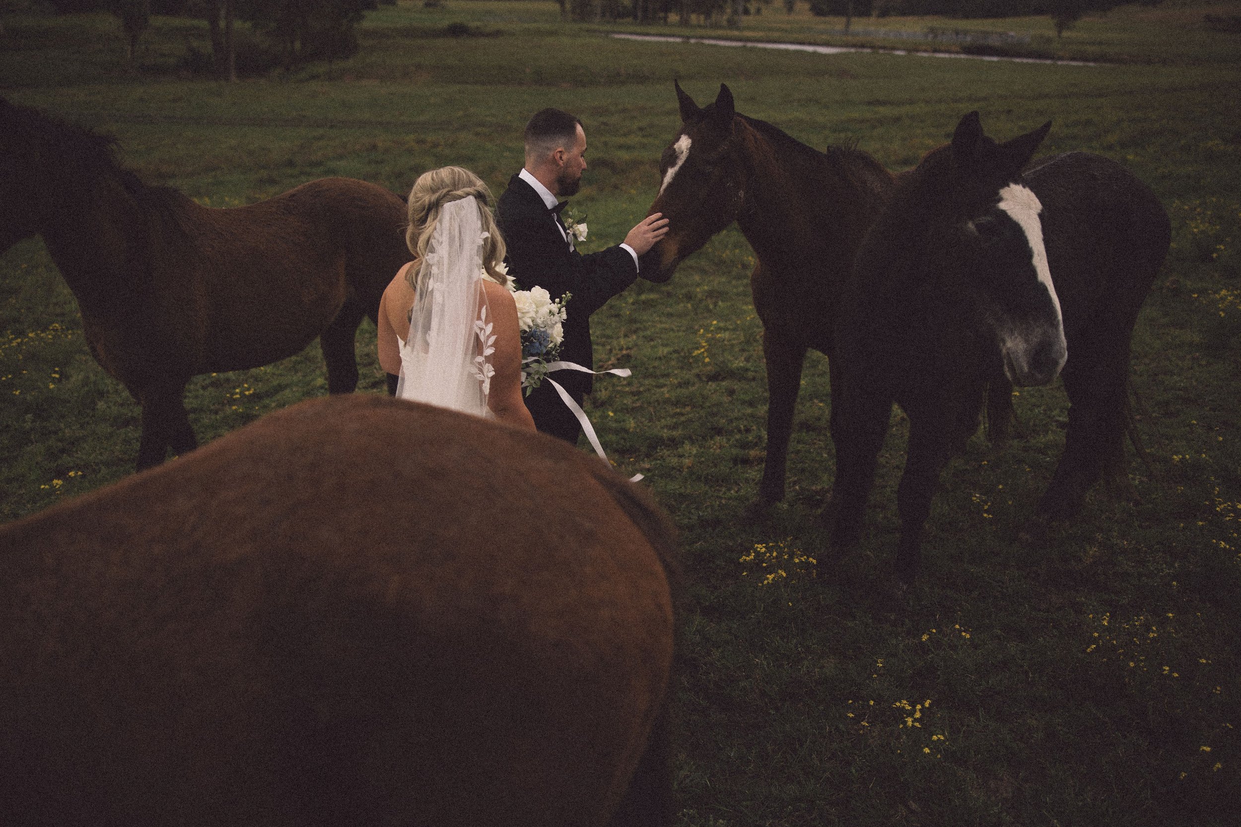 SharnaJames-WallaringaFarm-464.jpg