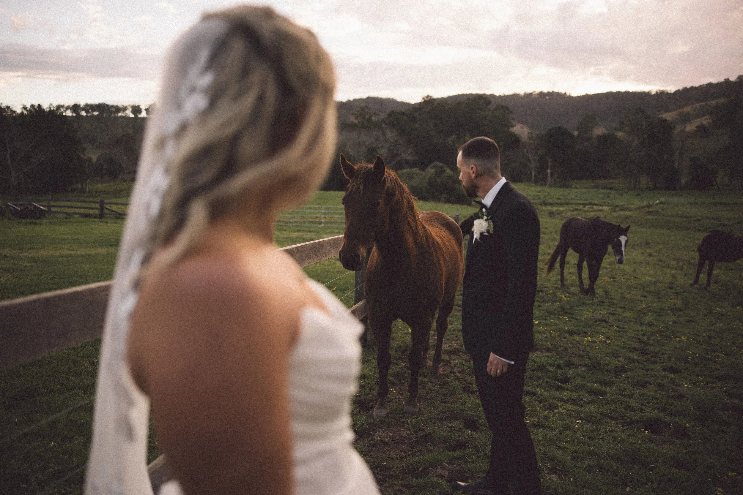 SharnaJames-WallaringaFarm-506.jpg