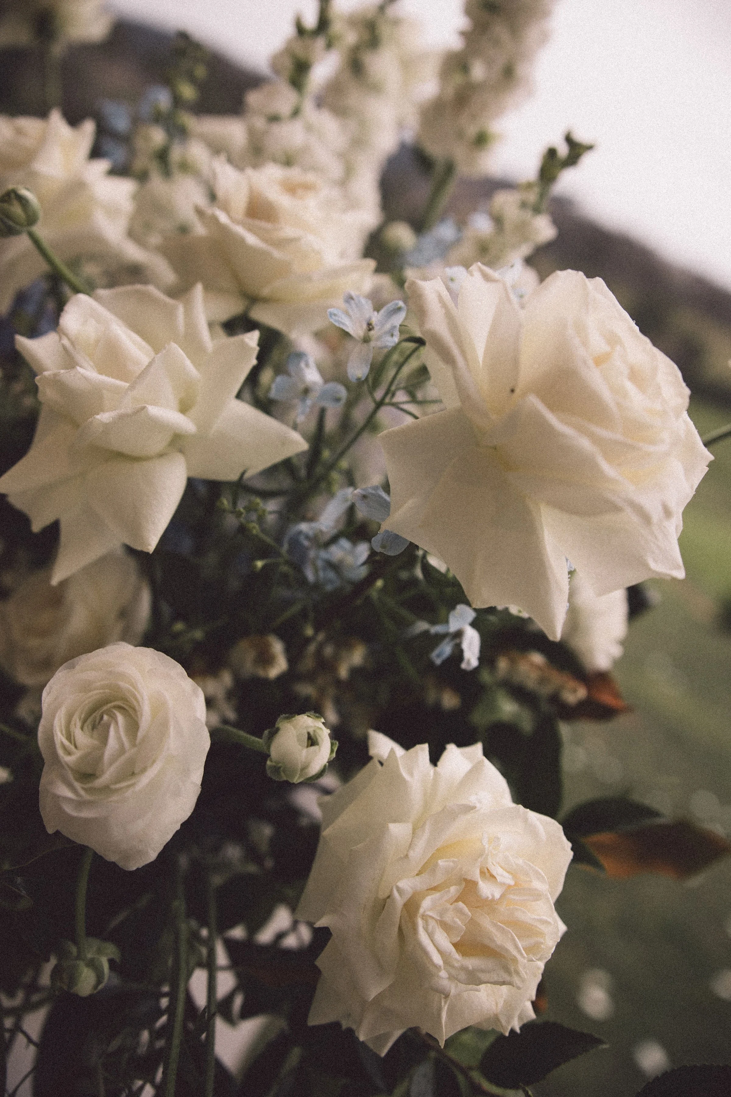 SharnaJames-WallaringaFarm-382.jpg
