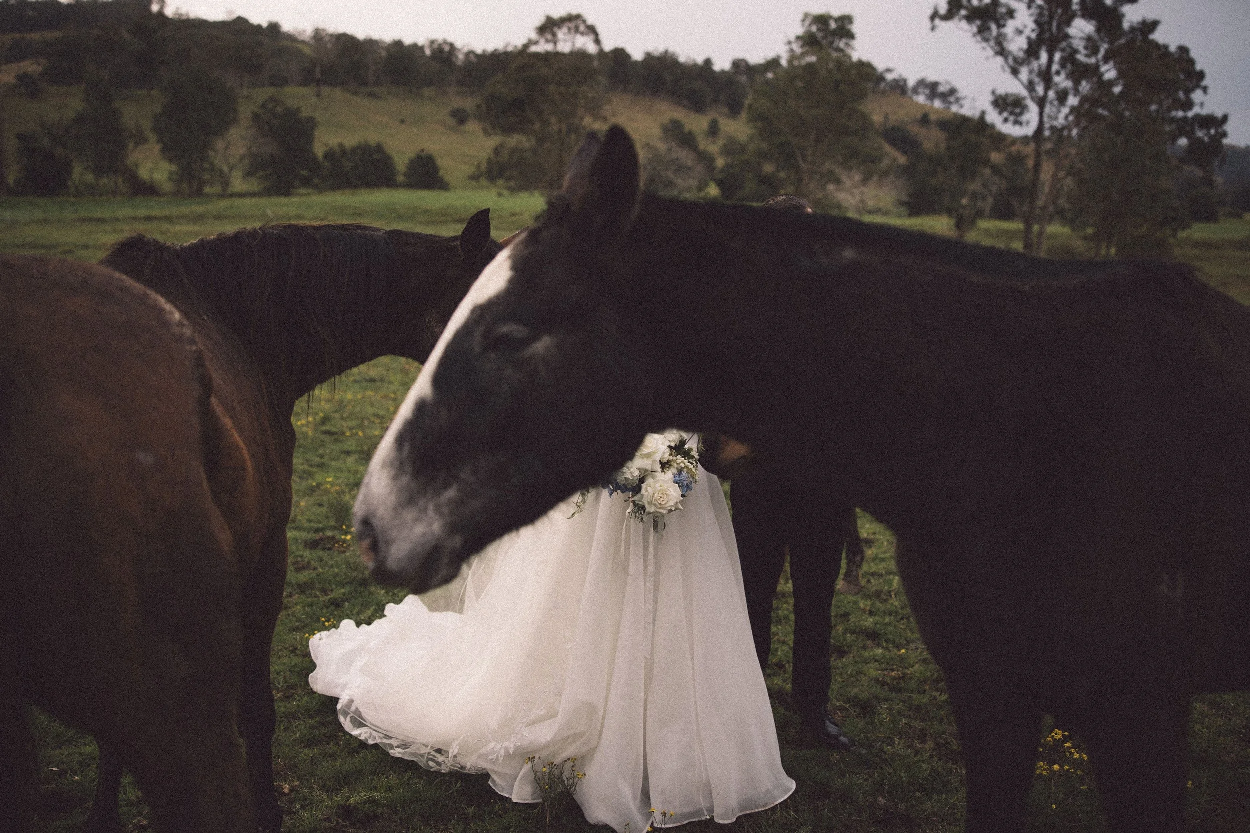 SharnaJames-WallaringaFarm-469.jpg