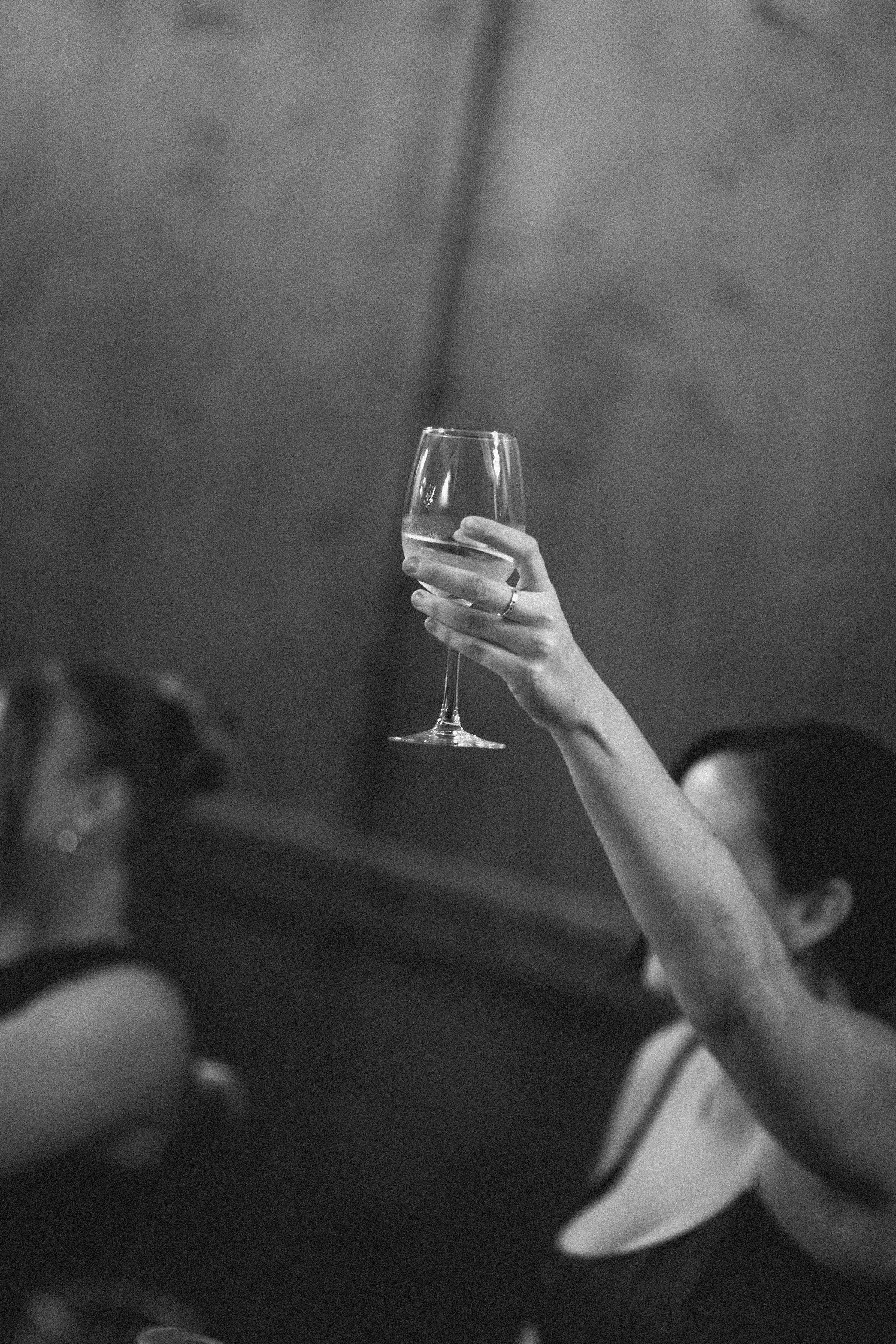 HannahJosh-TerraraHouse-Reception-134.jpg
